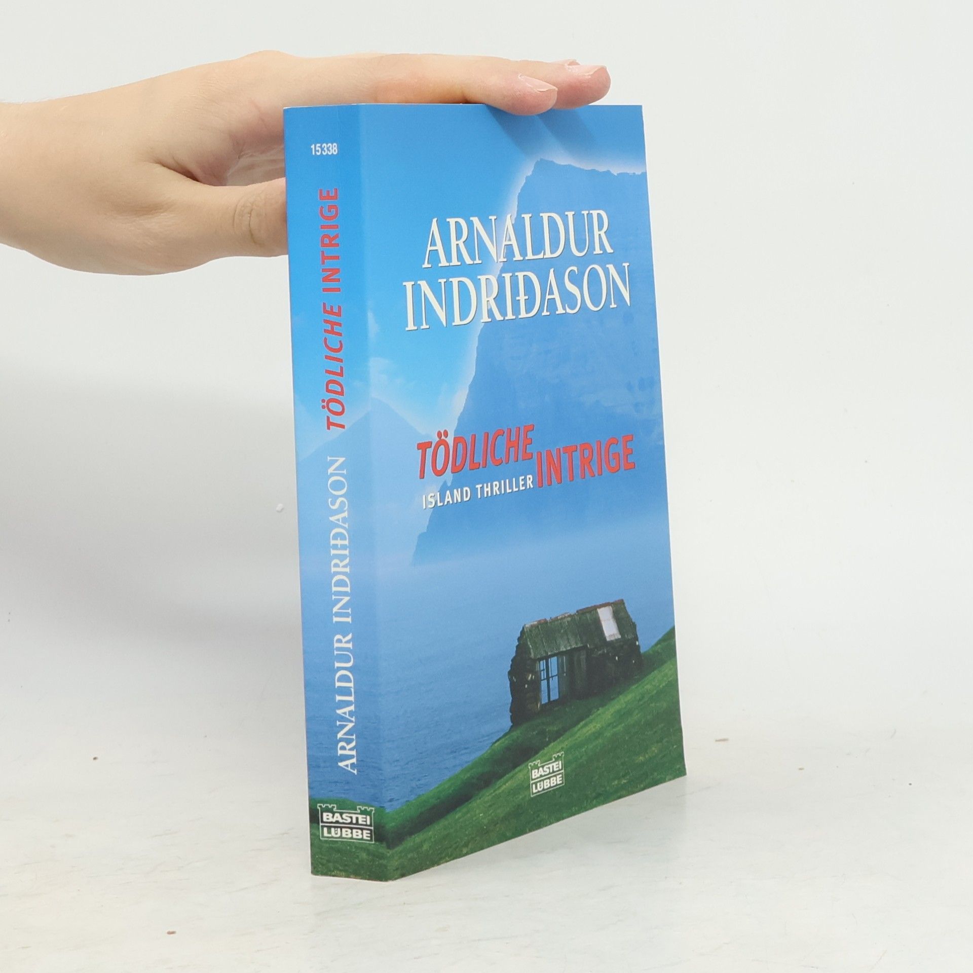 Arnaldur Indridason Tödliche Intrige