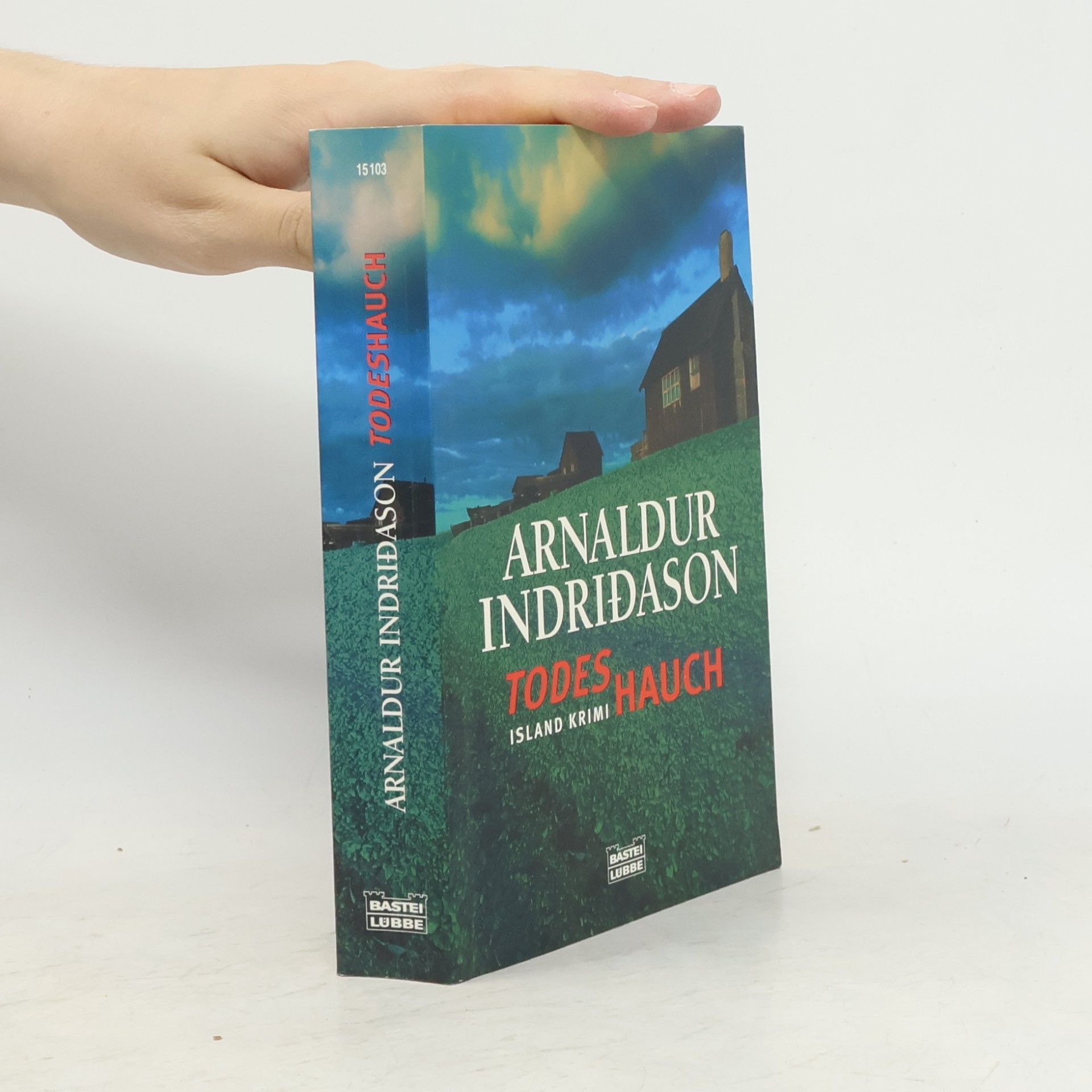 Arnaldur Indridason Todeshauch