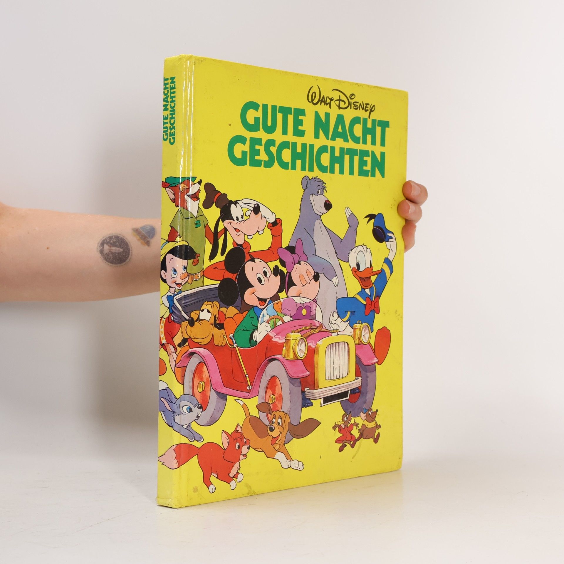 Autores varios Gute Nacht Geschichten