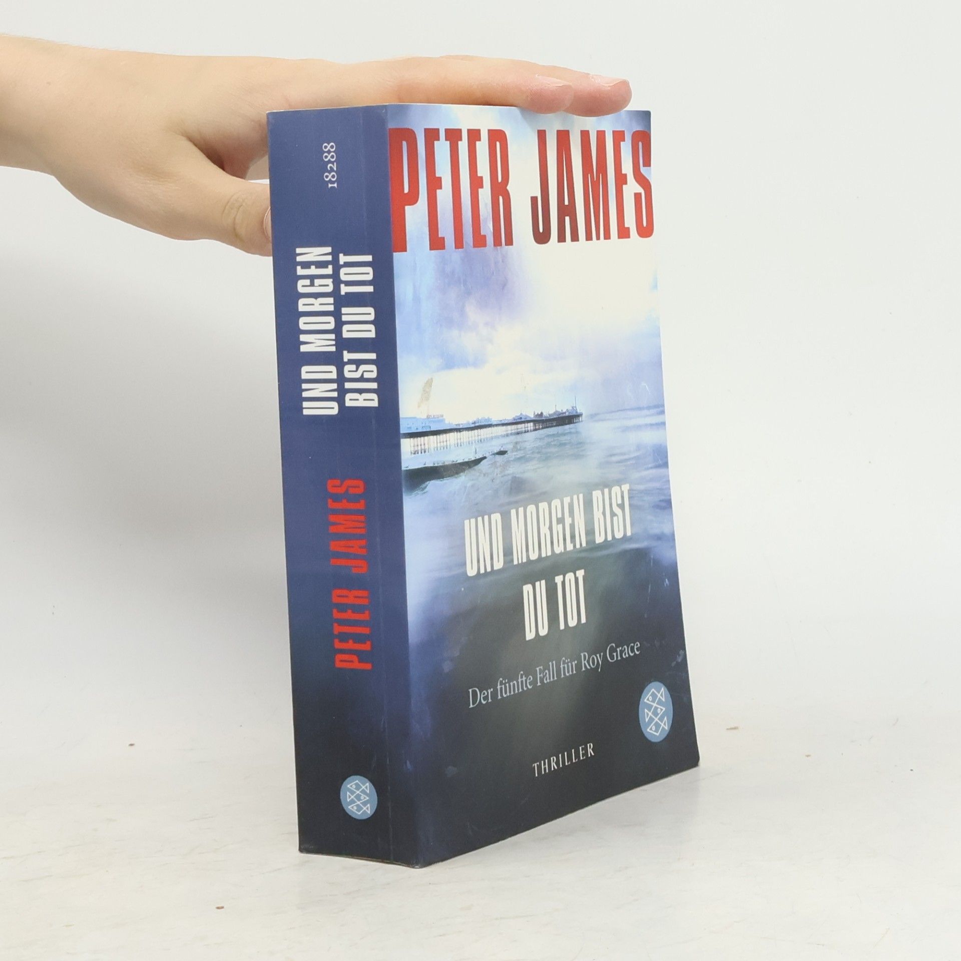 Peter James Und morgen bist du tot