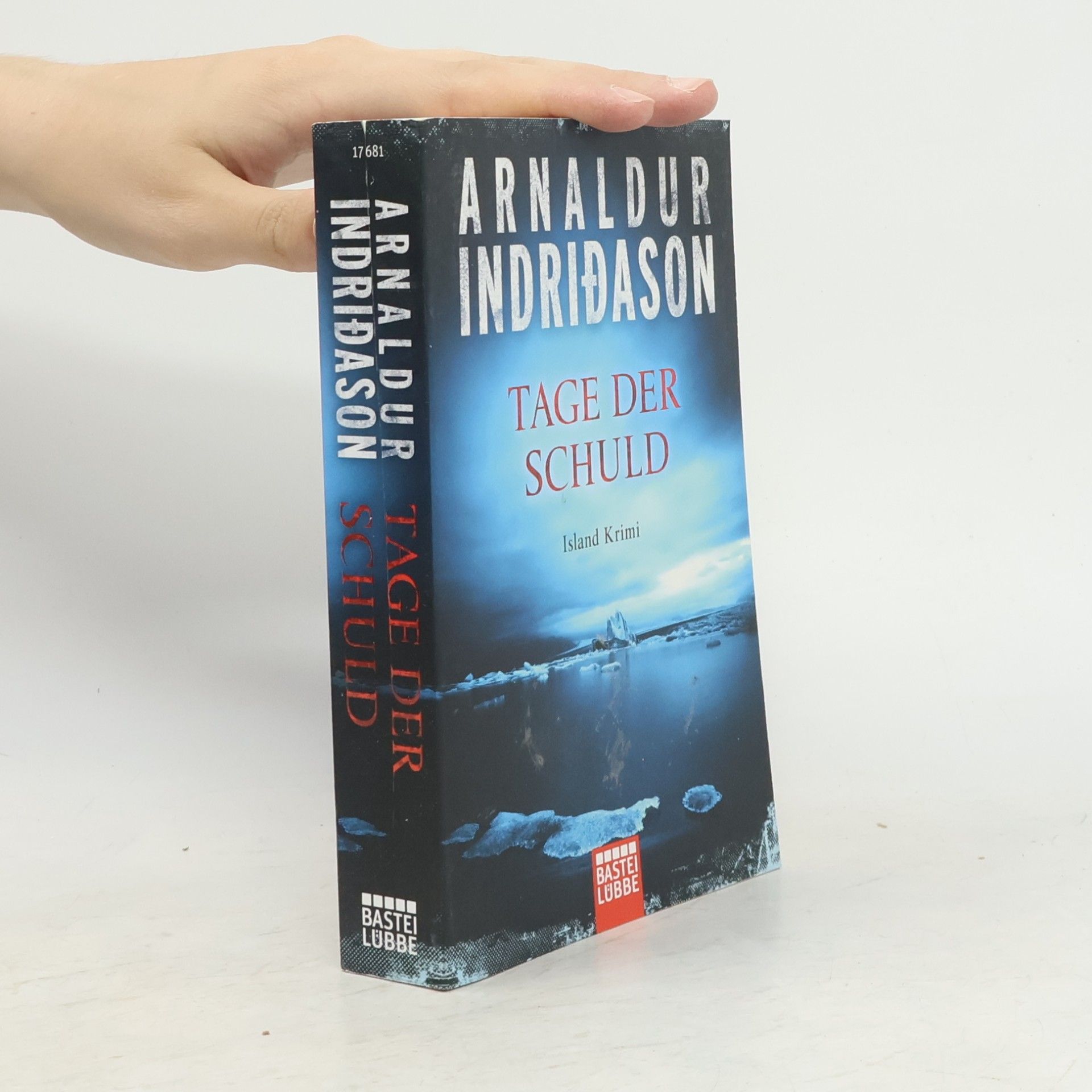 Arnaldur Indridason Tage der Schuld