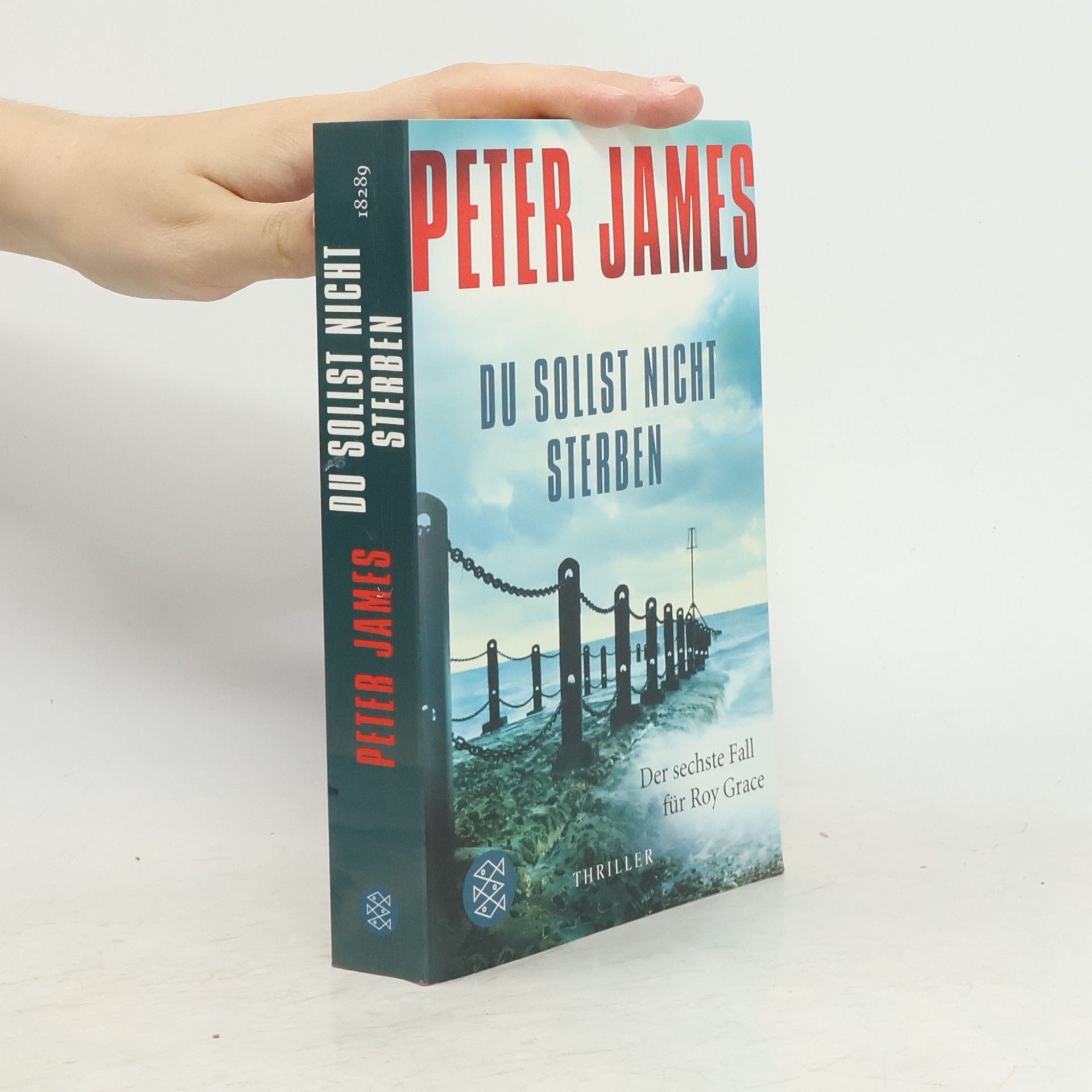 Peter James Du sollst nicht sterben