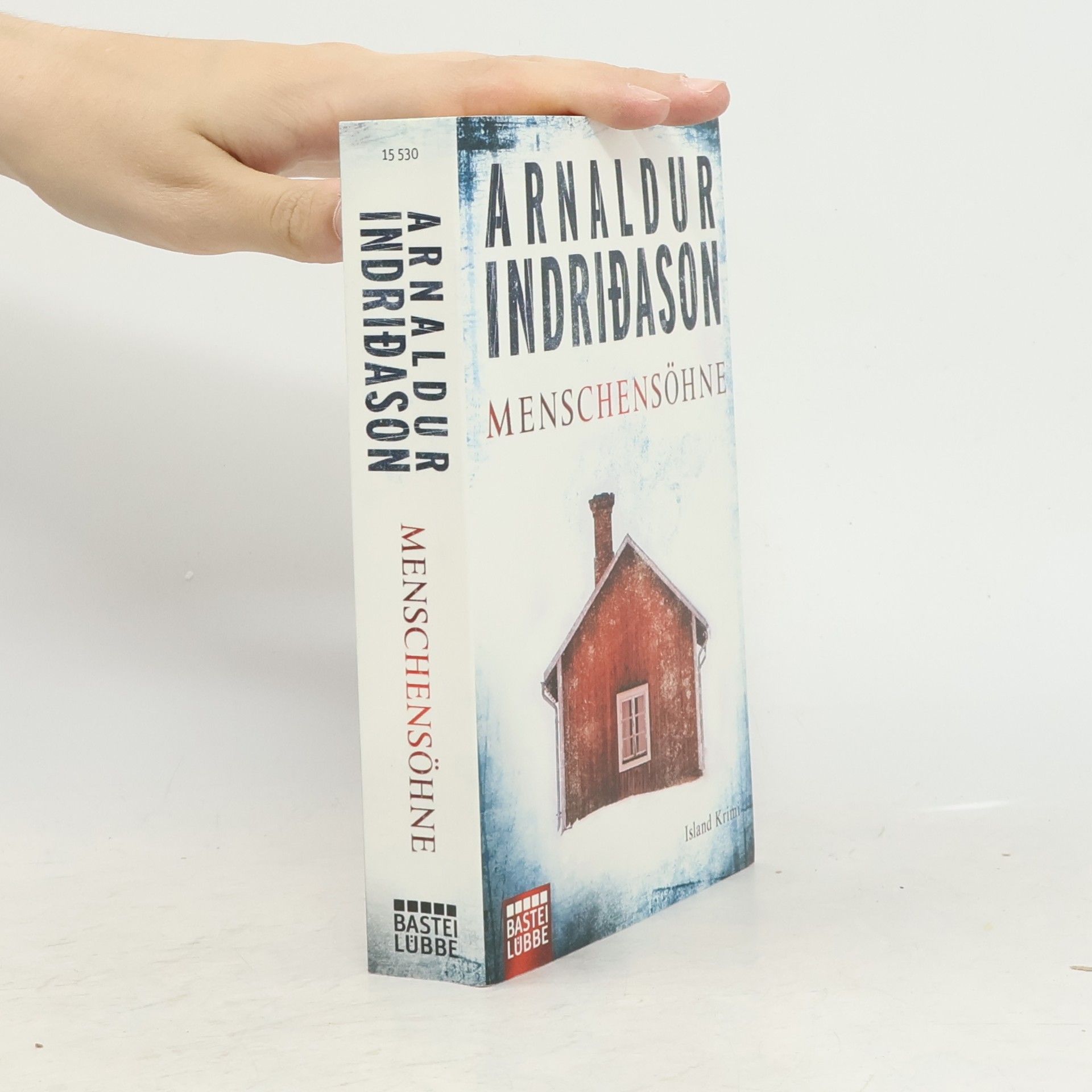 Arnaldur Indriðason Menschensöhne