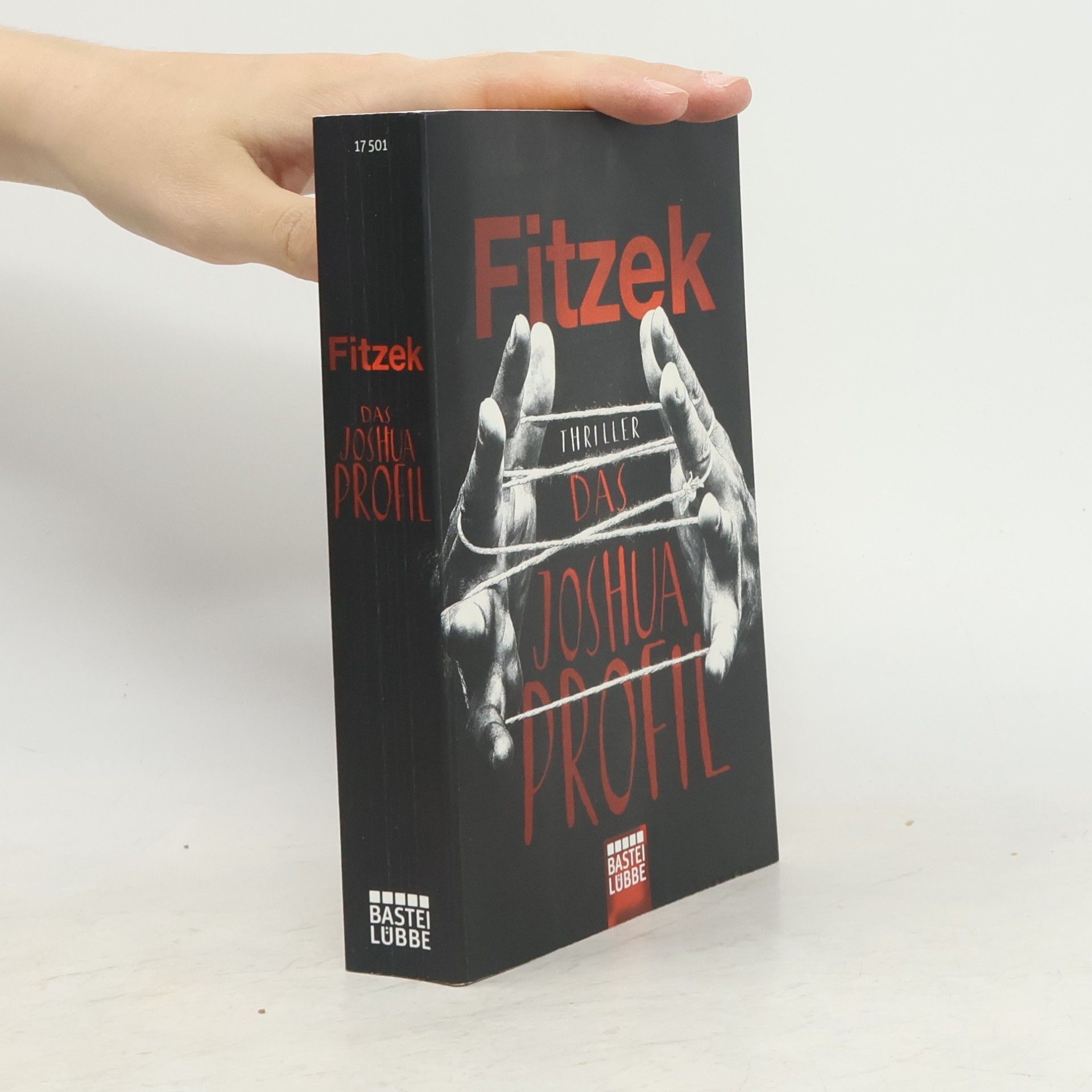 Sebastian Fitzek Das Joshua-Profil