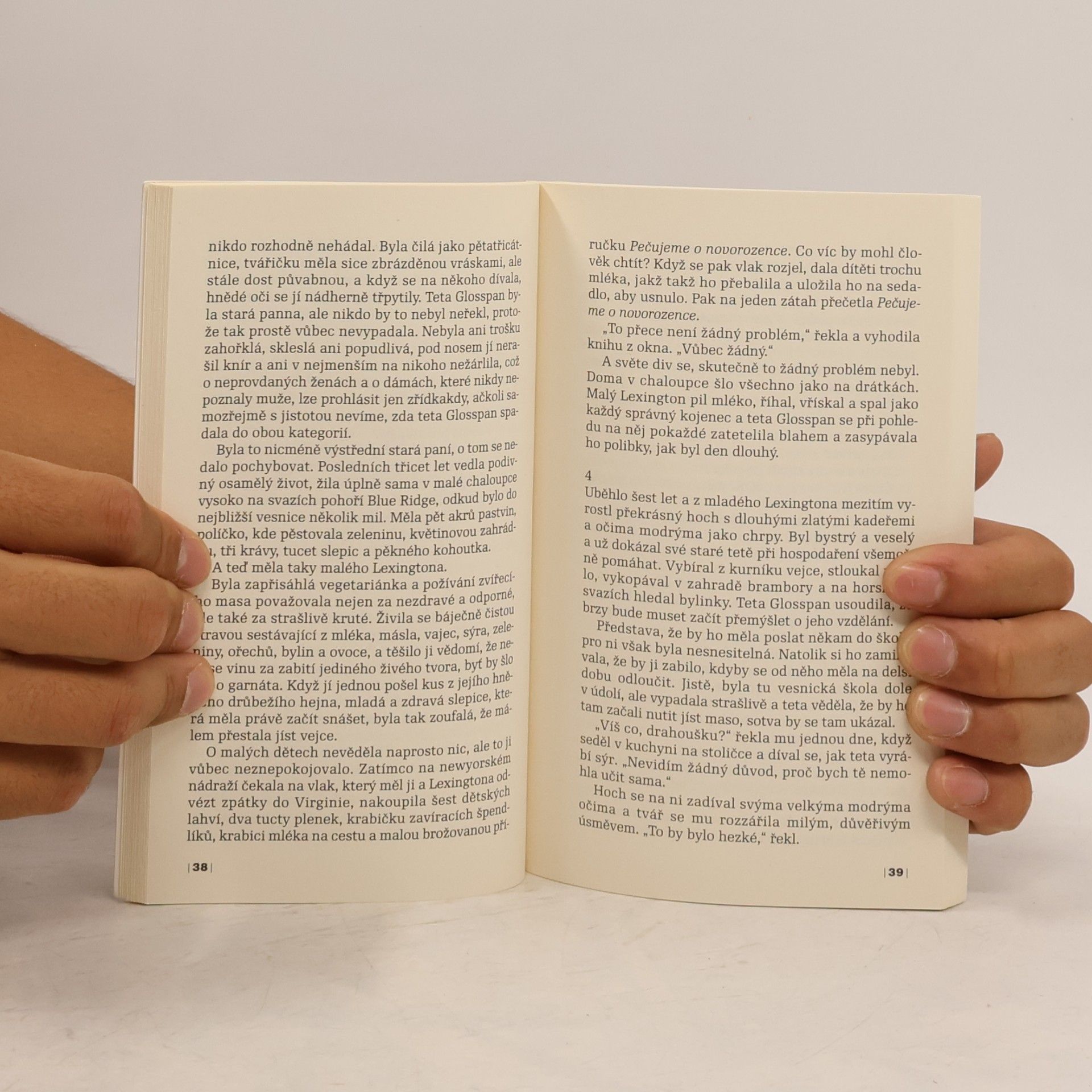 Roald Dahl Velký samočinný větostroj a další povídky