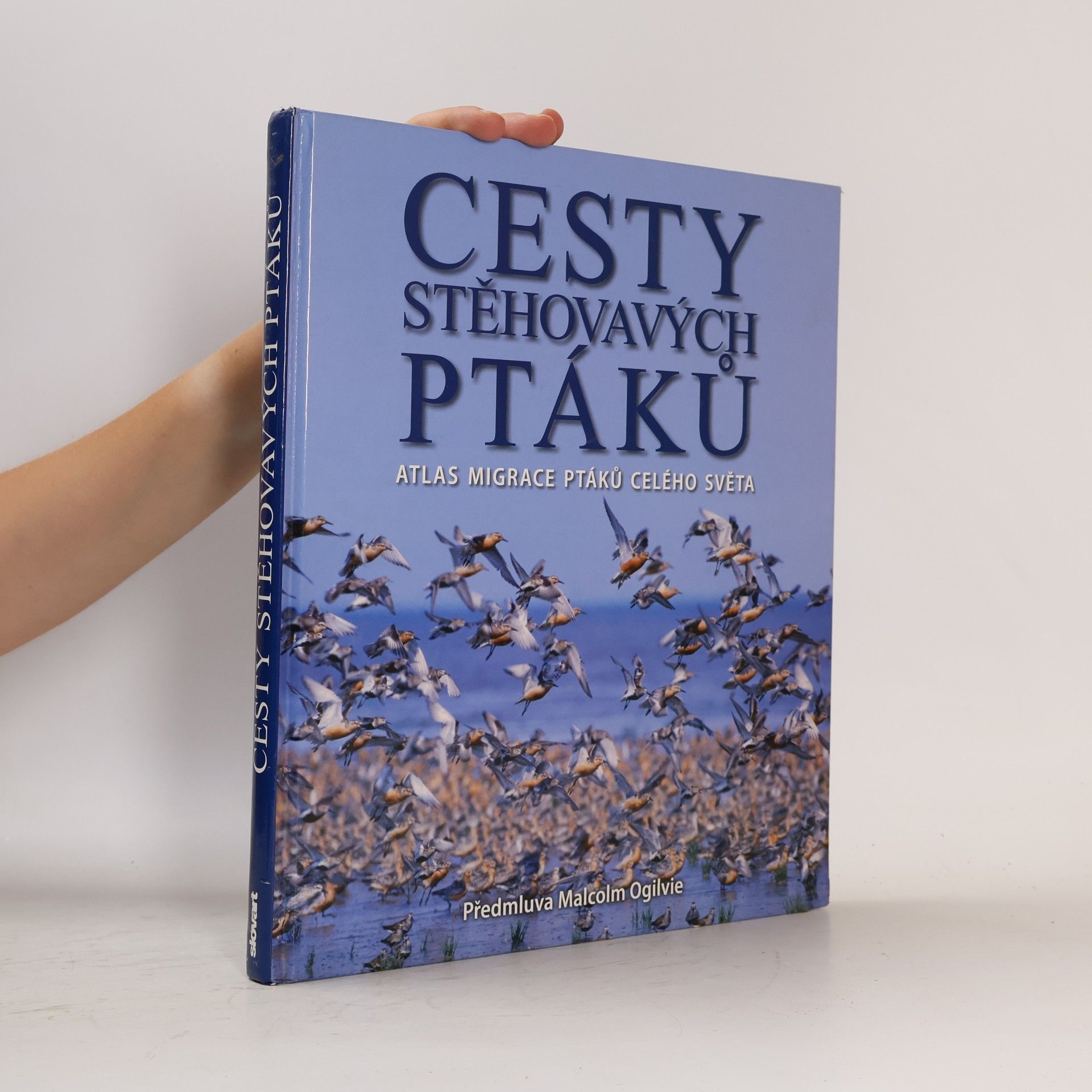 Jonathan Elphick Cesty stěhovavých ptáků