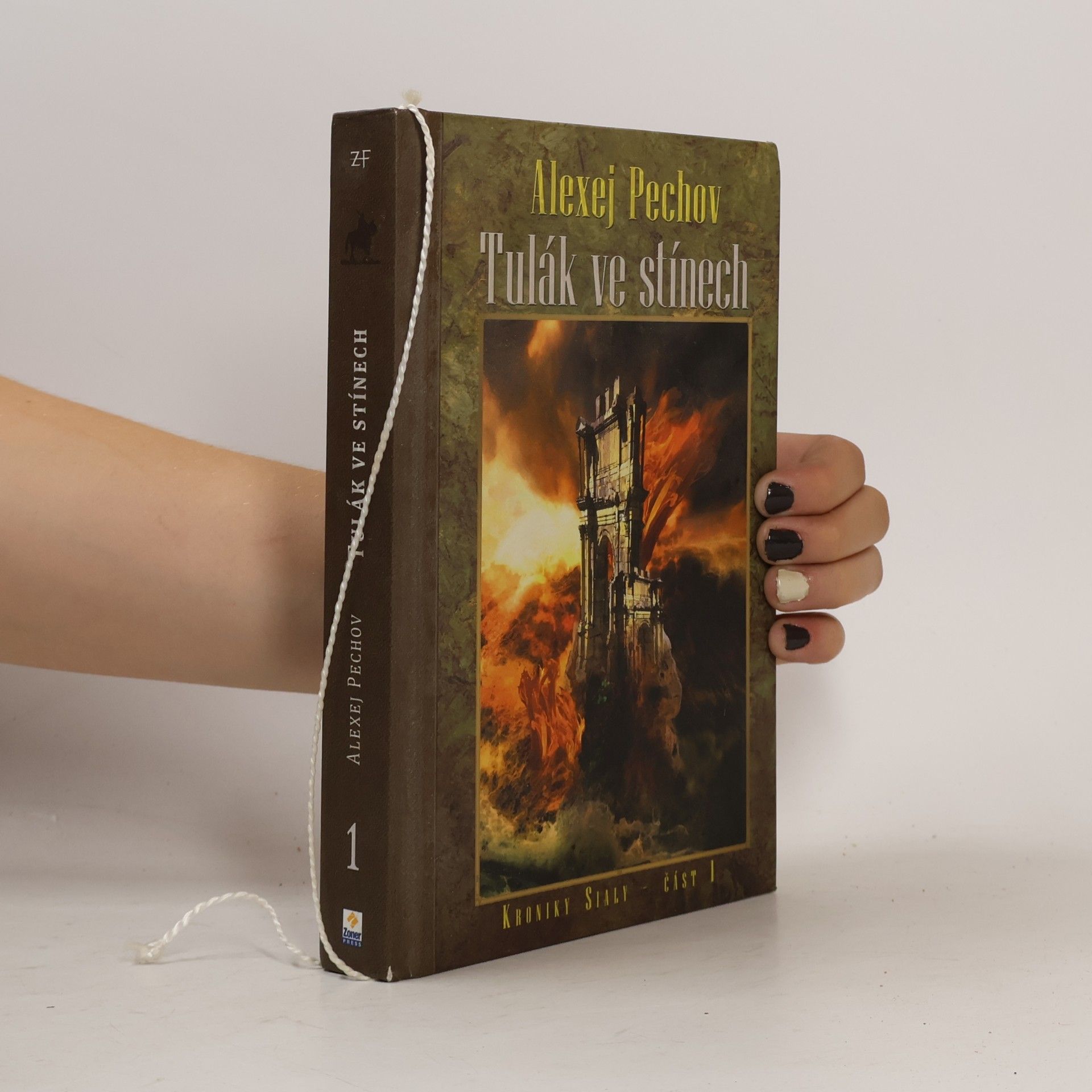 Aleksej Jur Pechov Kroniky Sialy. Kniha 1, Tulák ve stínech