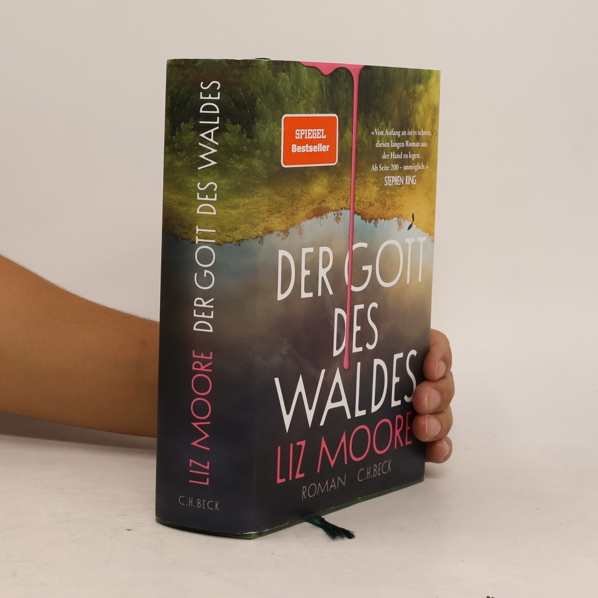 Liz Moore Der Gott des Waldes