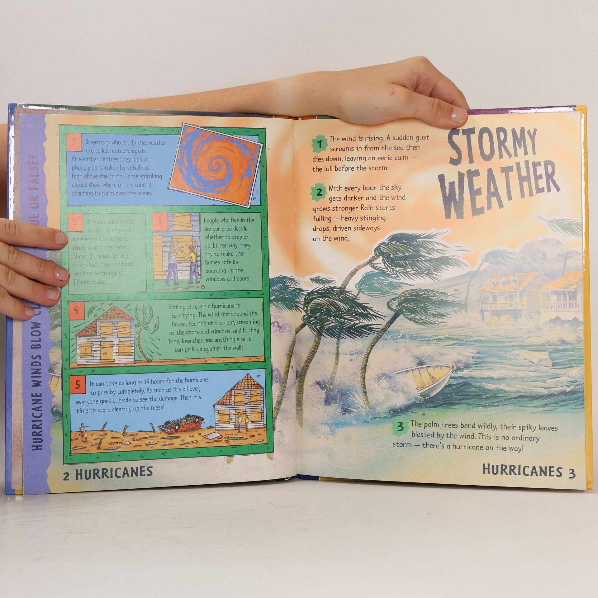 Claire Llewellyn Bright Sparks: Wild, Wet and Windy: The Weather