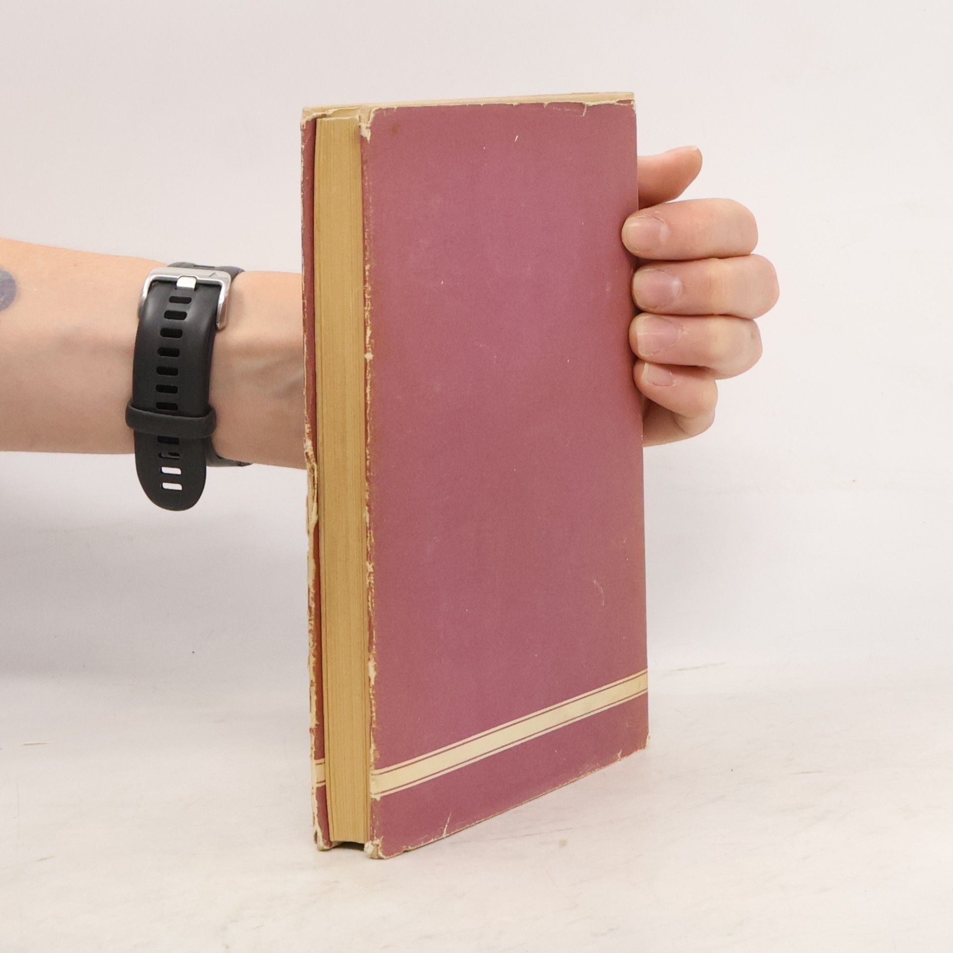 Conrad Ferdinand Meyer Das Amulett und andere Novellen