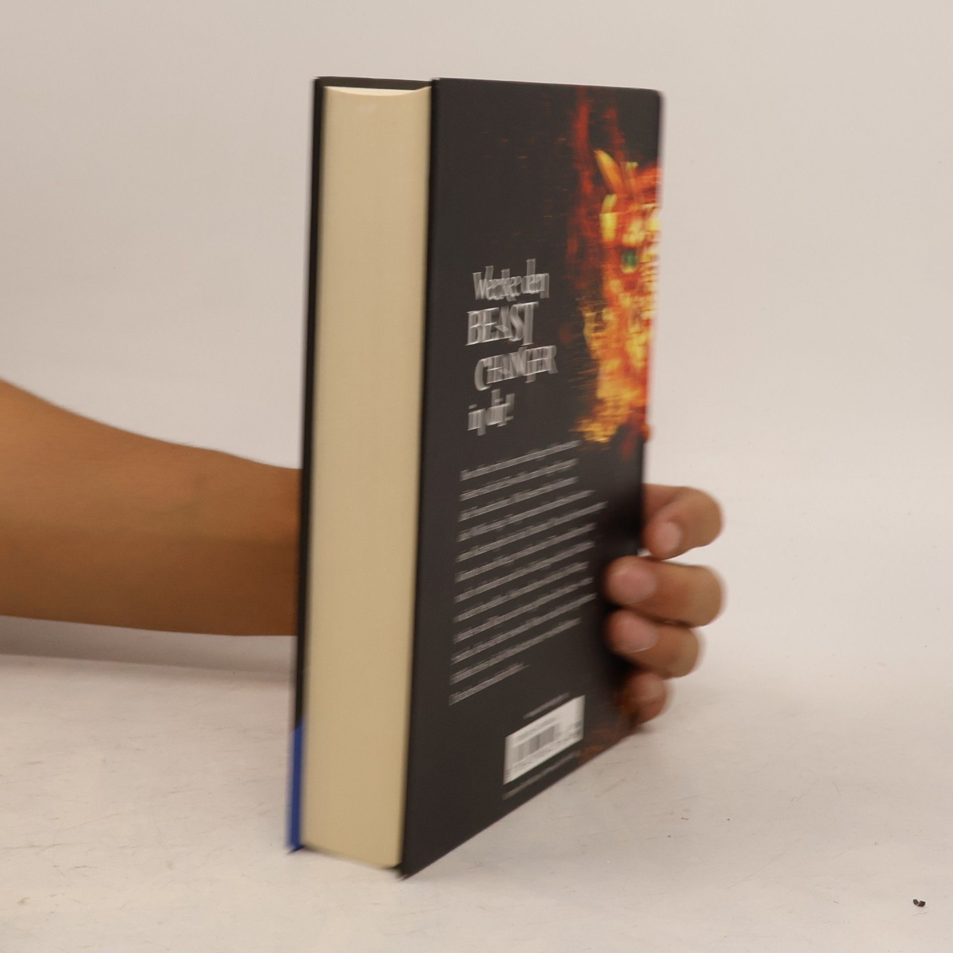 Amie Kaufman Beast Changers, Band 2: Im Reich der Feuerdrachen
