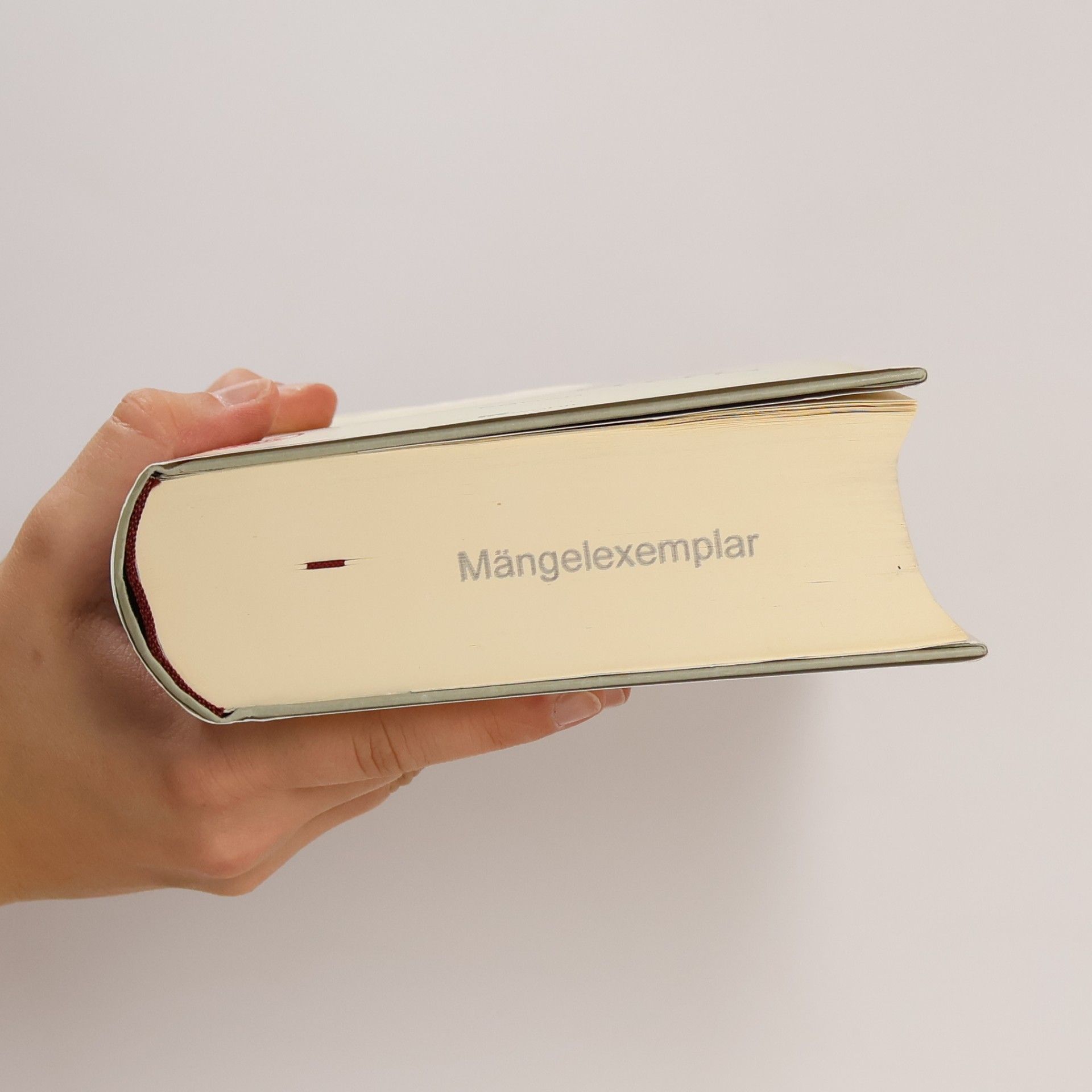 Thomas Pynchon Gegen den Tag