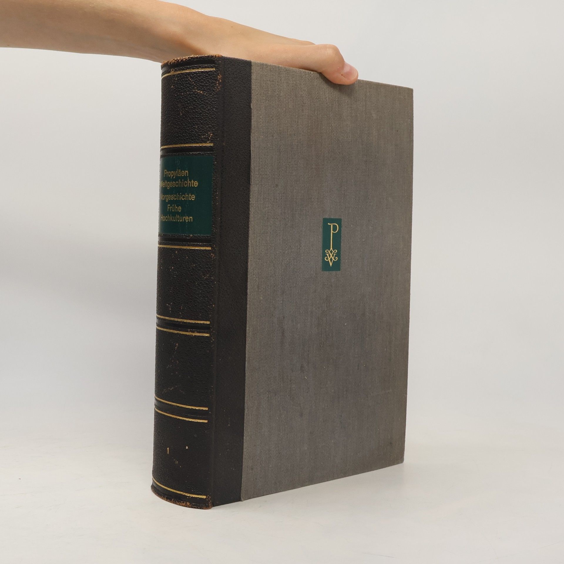 Autorenkollektiv Propyläen Weltgeschichte. Vorgeschichte Frühe Hochkulturen 1