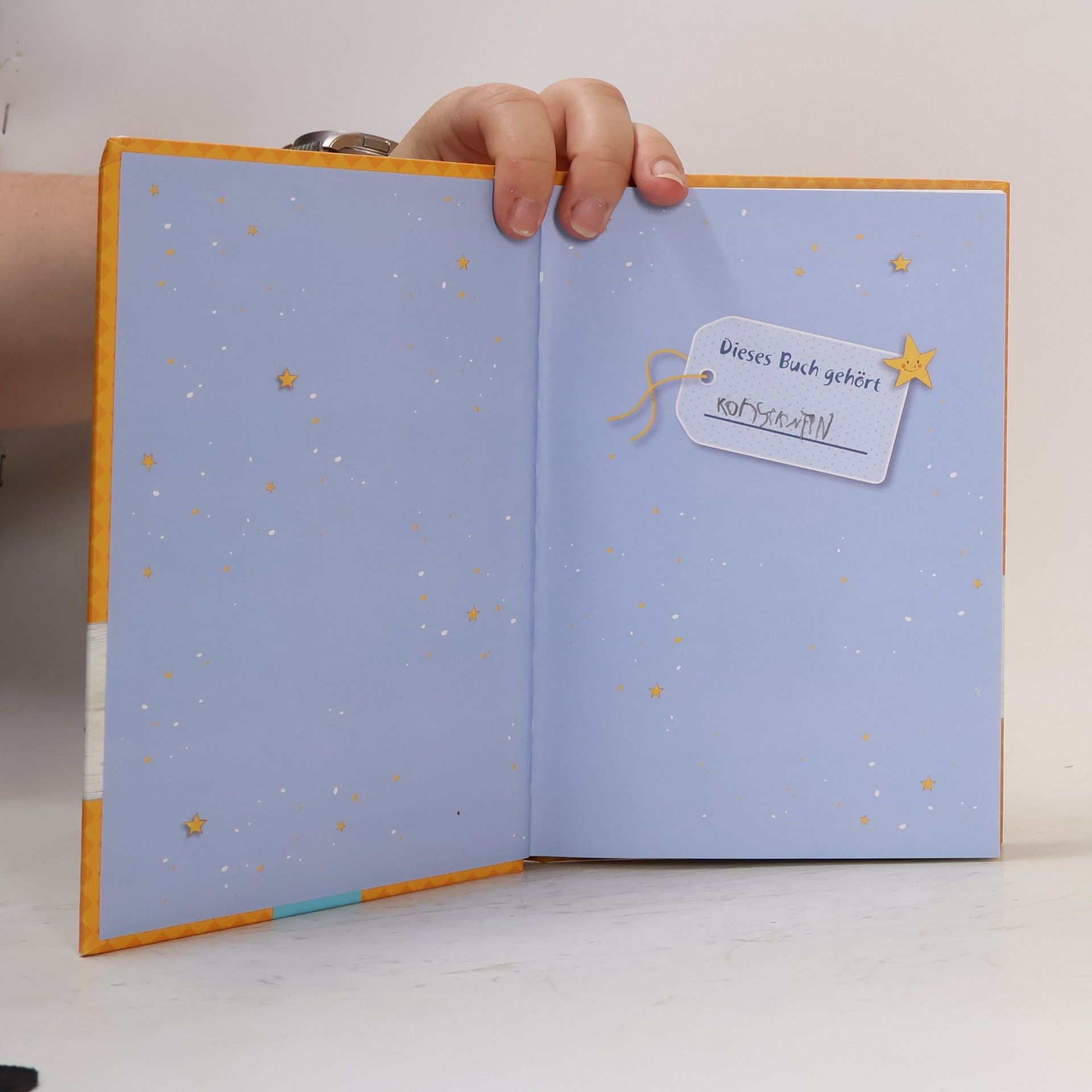 Astrid Lindgren Michels Unfug Nummer 325