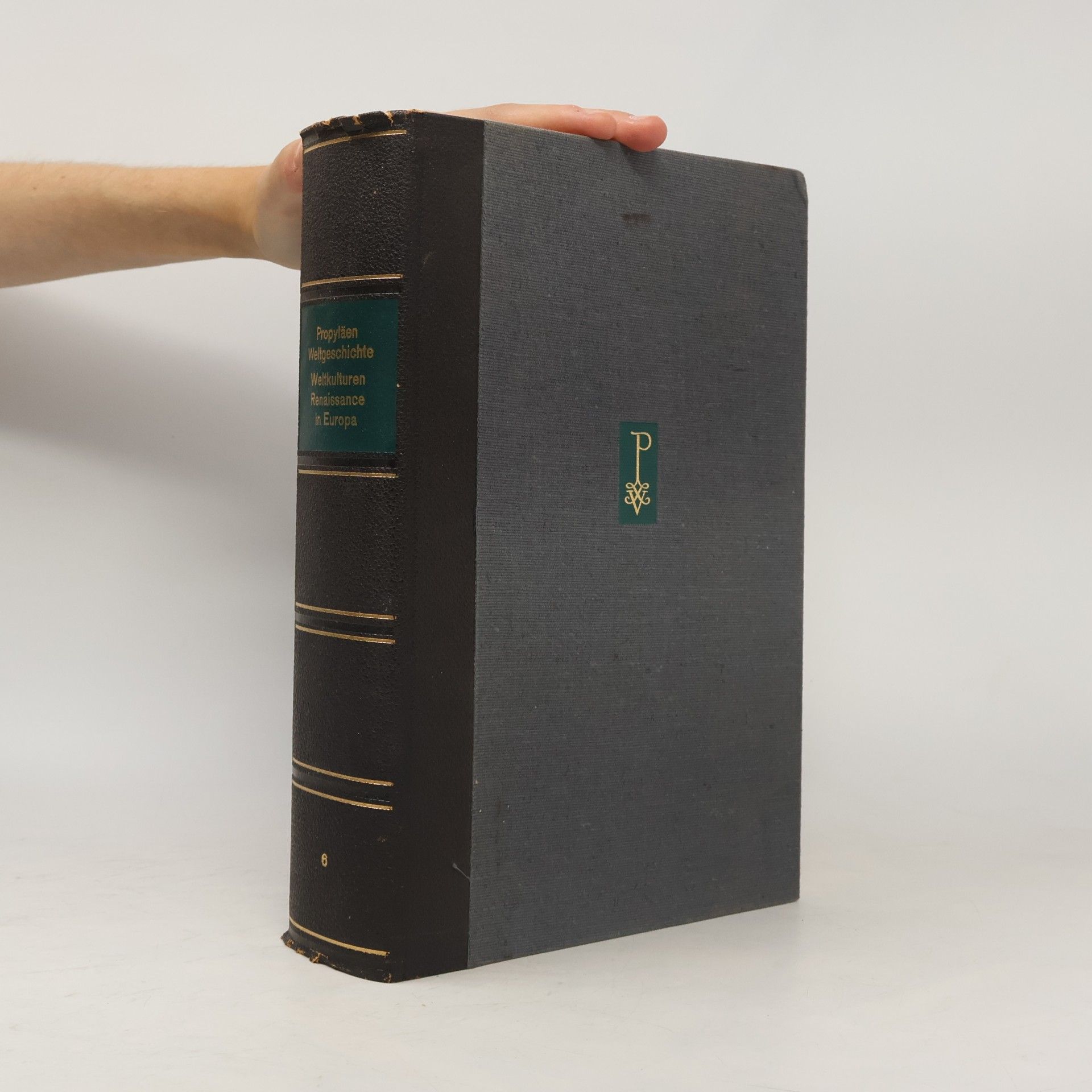 Autorenkollektiv Propyläen Weltgeschichte. Weltkulturen Renaissance in Europa