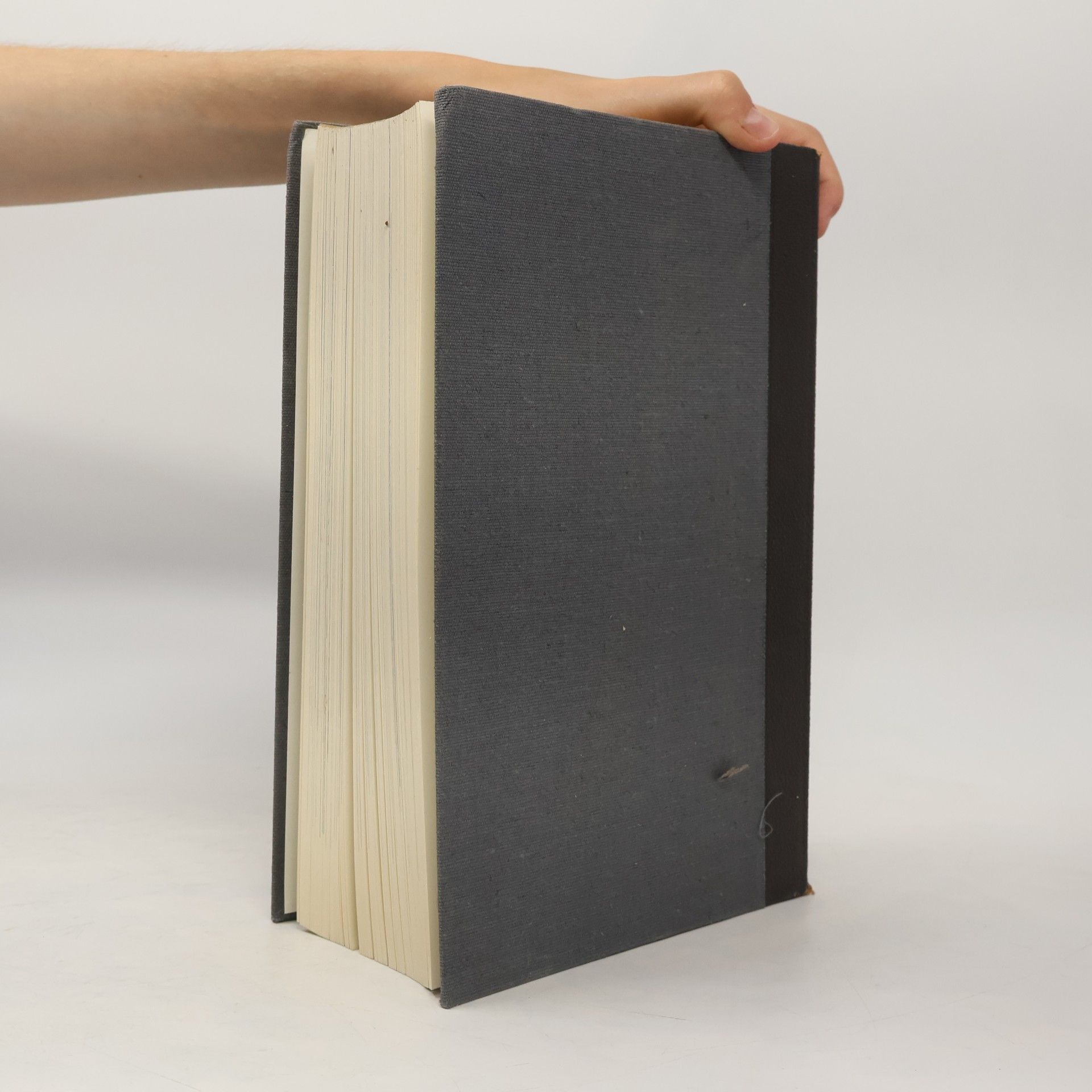 Autorenkollektiv Propyläen Weltgeschichte. Weltkulturen Renaissance in Europa
