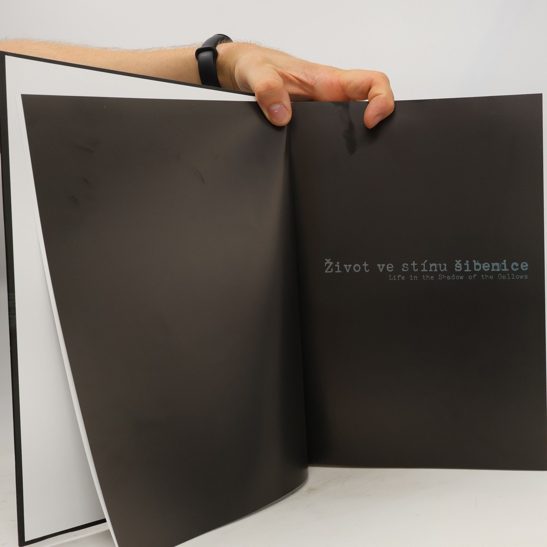 Autorenkollektiv Život ve stínu šibenice. Life in the Shadow of the Gallows