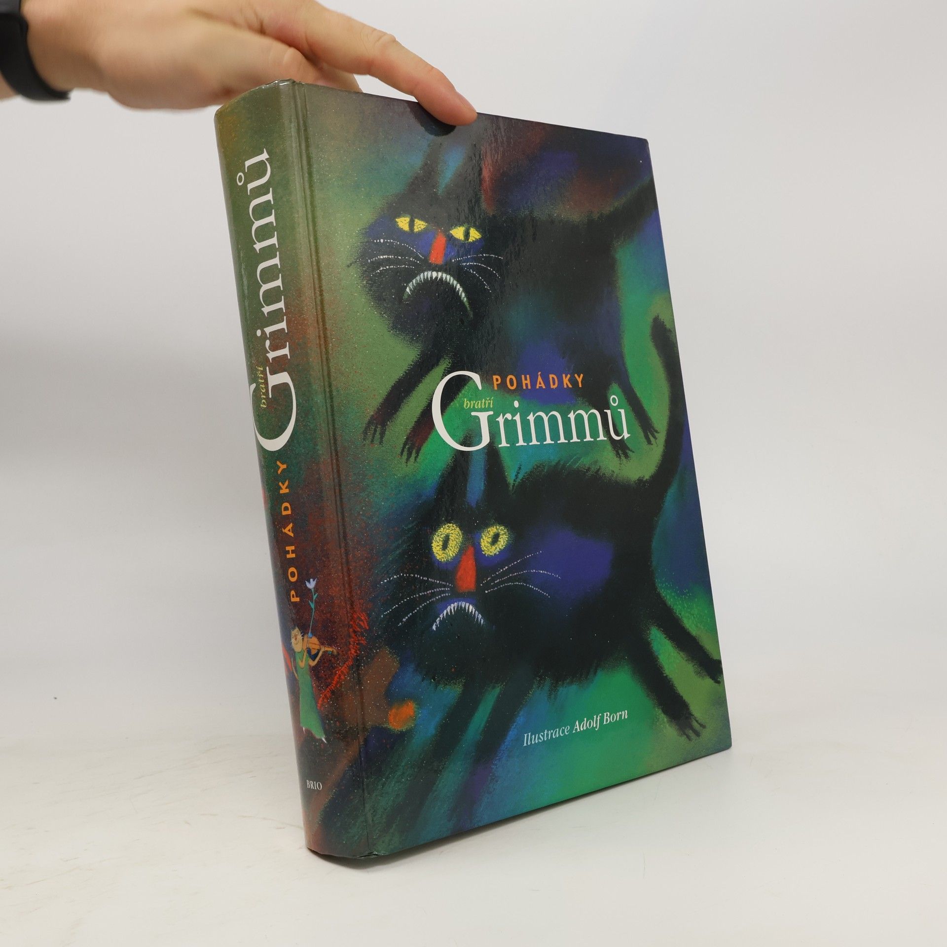 Jacob Grimm Pohádky bratří Grimmů