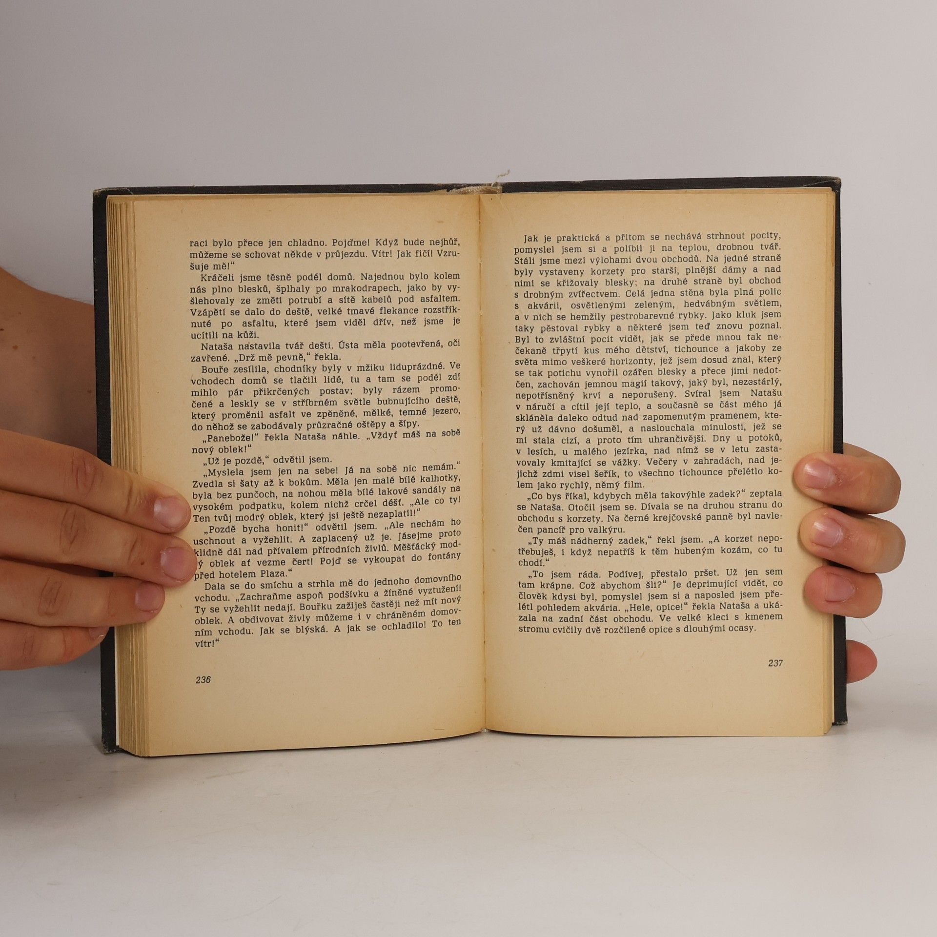 Erich Maria Remarque Stíny v ráji