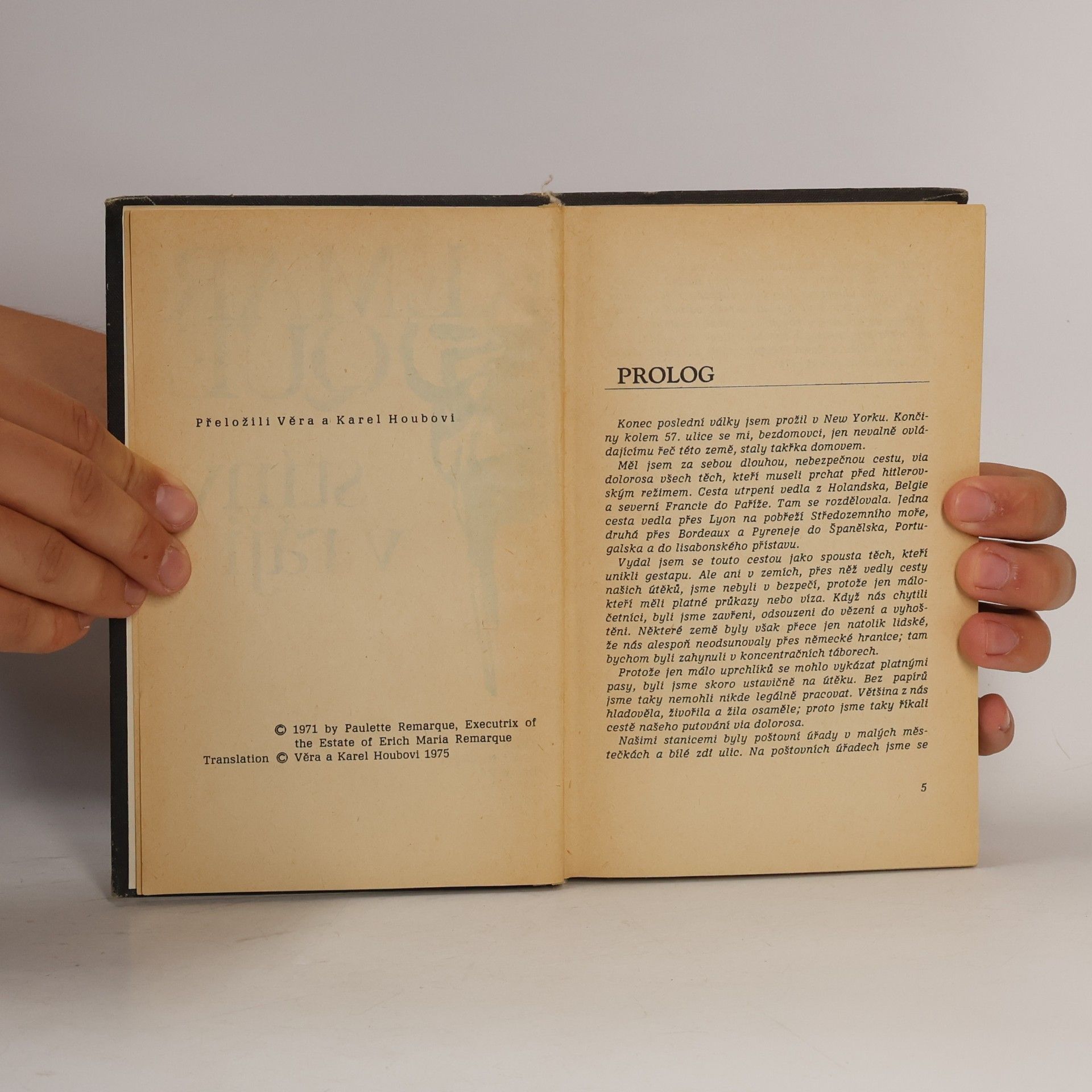 Erich Maria Remarque Stíny v ráji