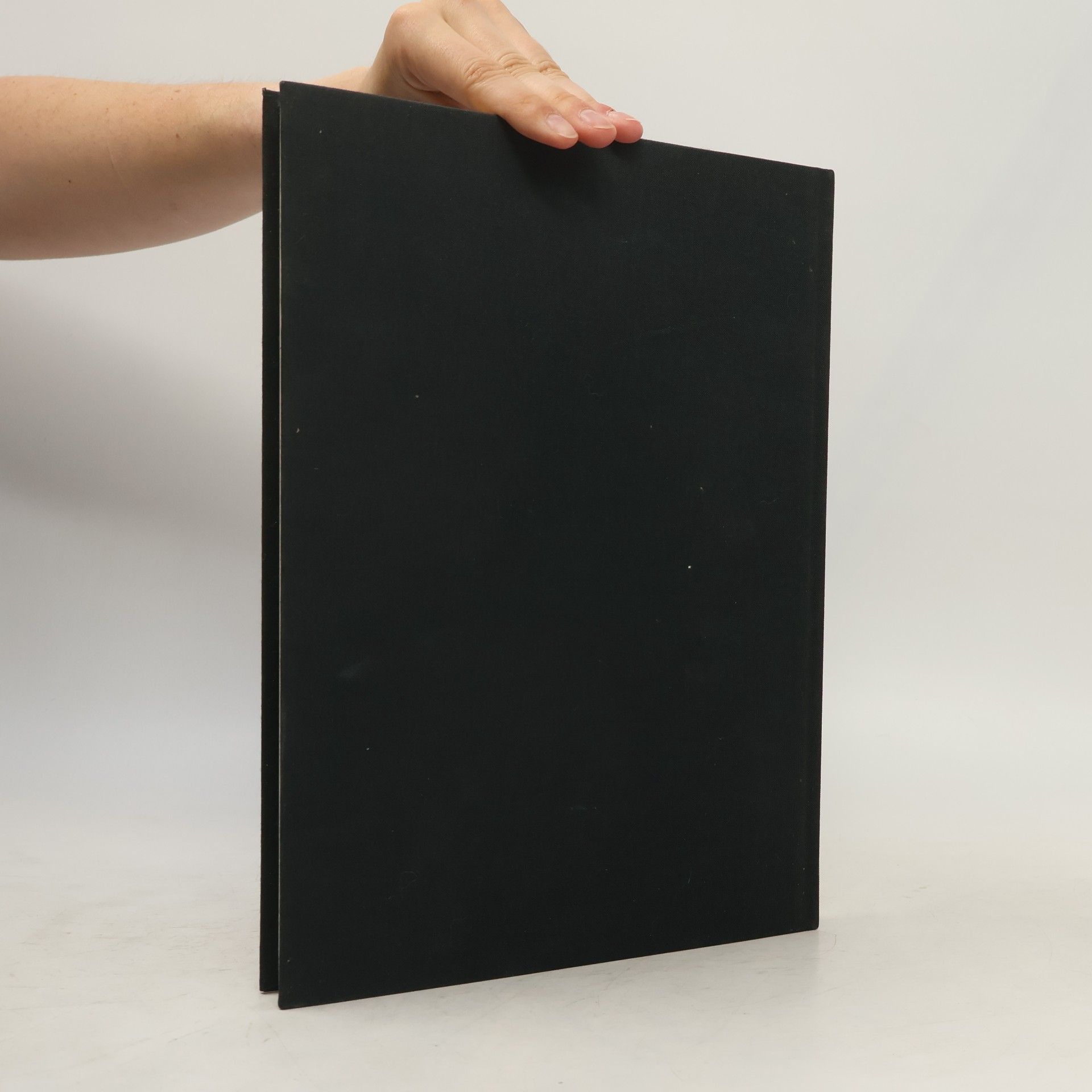 Autores varios Manessische Liederhandschrift