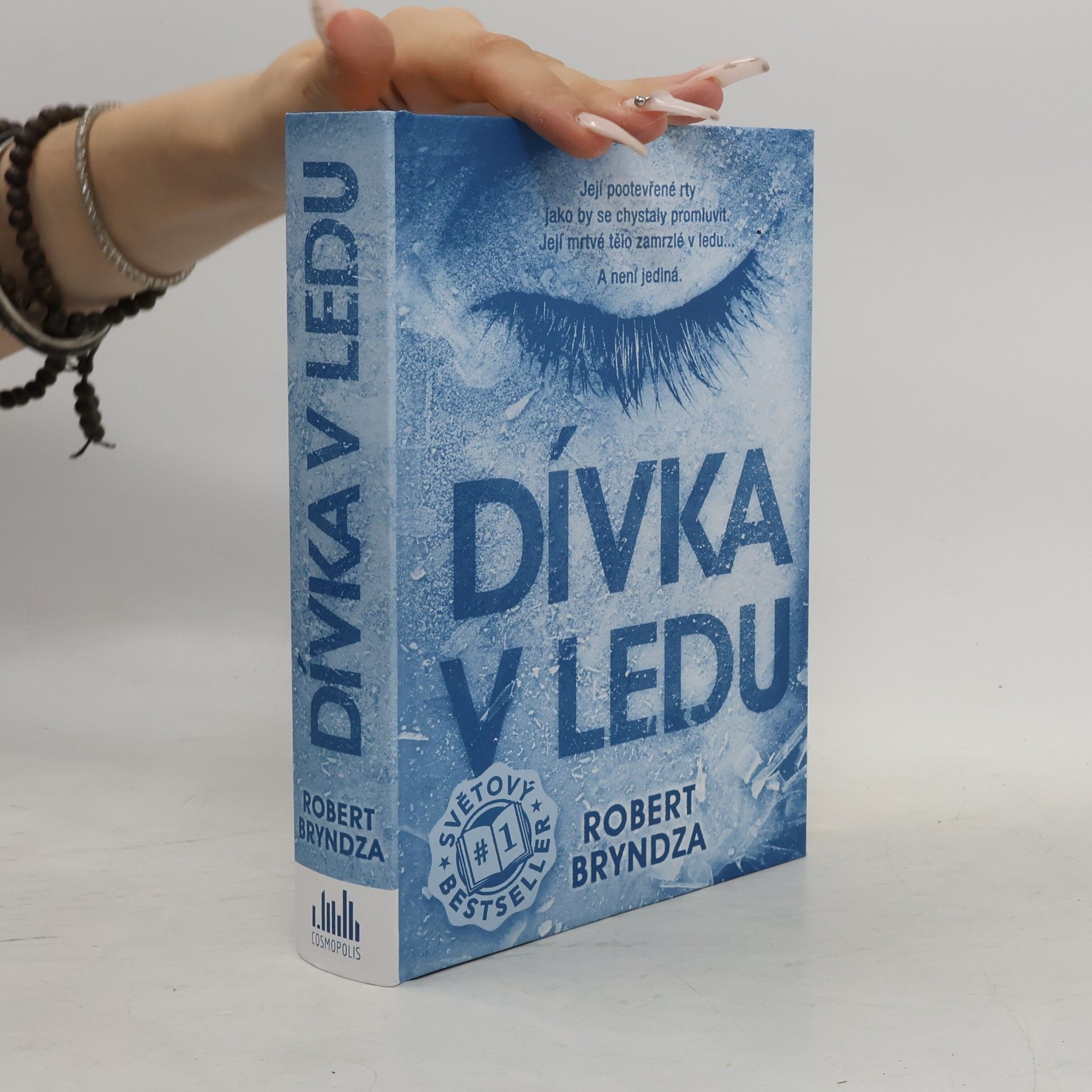 Robert Bryndza Dívka v ledu