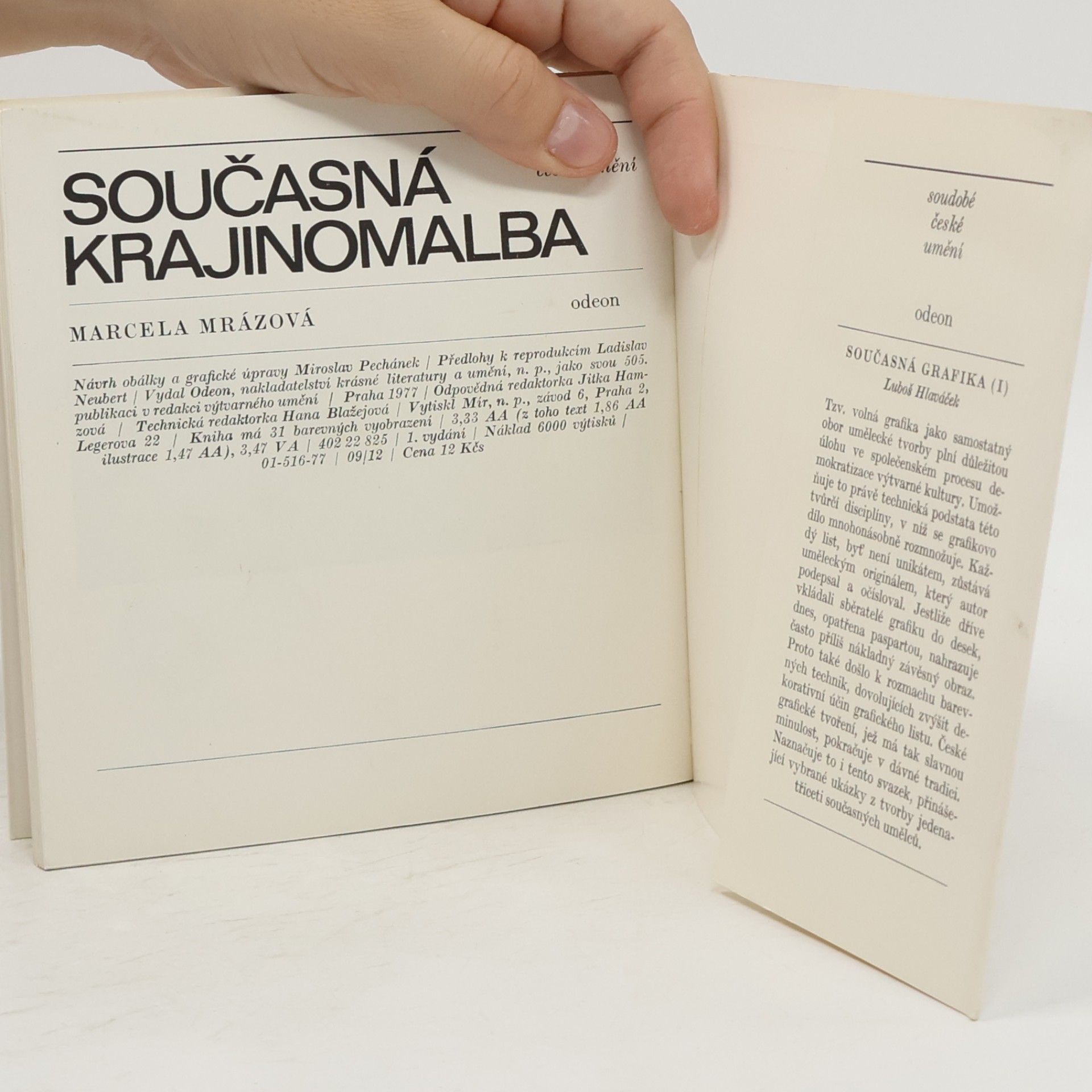 Marcela Mrázová Současná krajinomalba