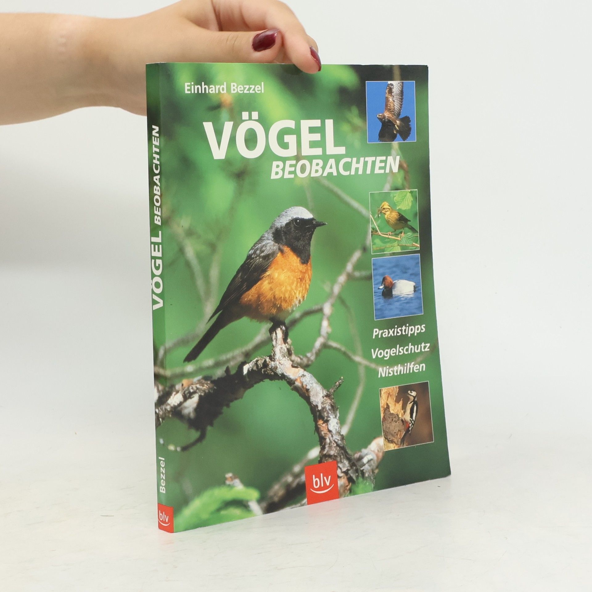 Einhard Bezzel Vögel beobachten