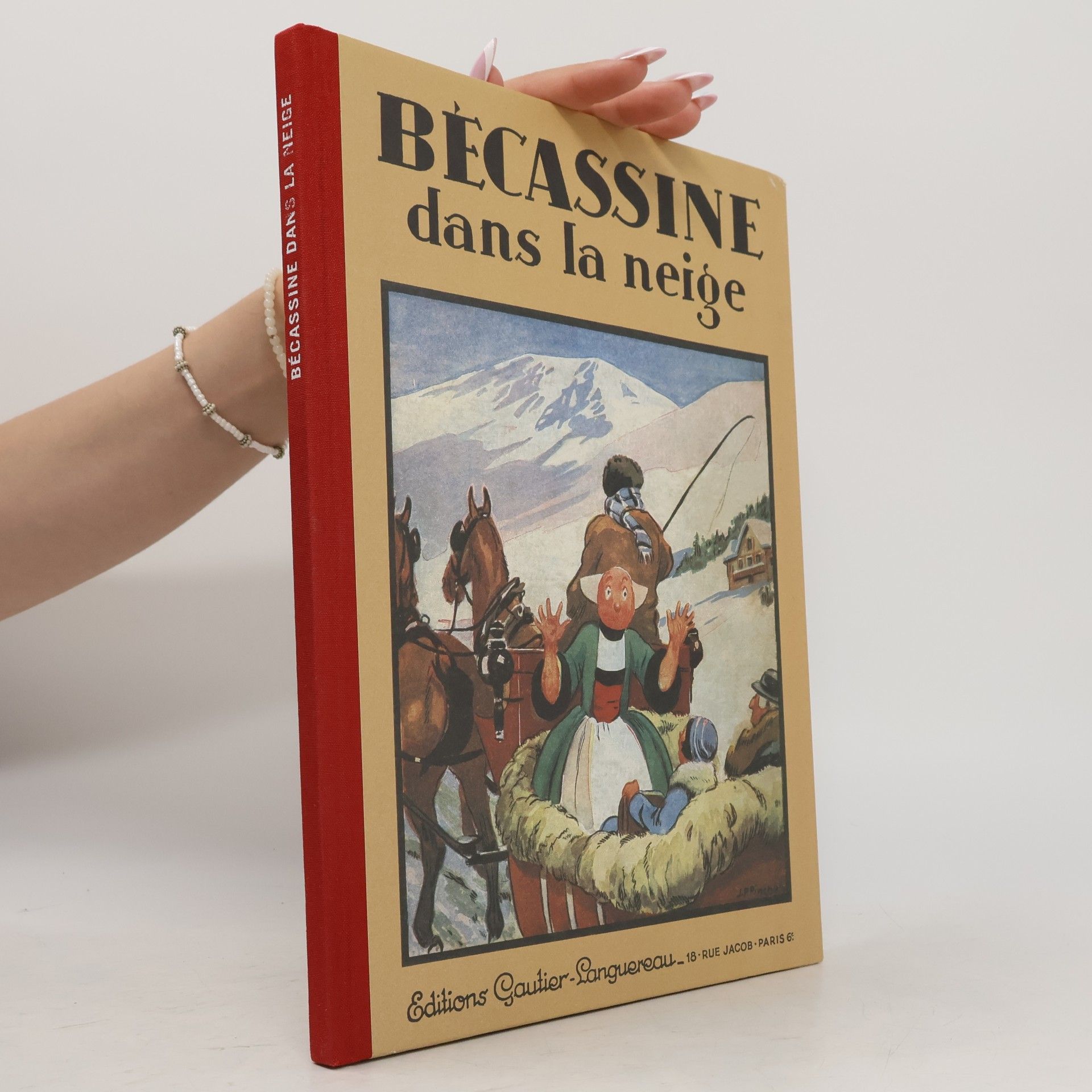 Bécassine dans la neige