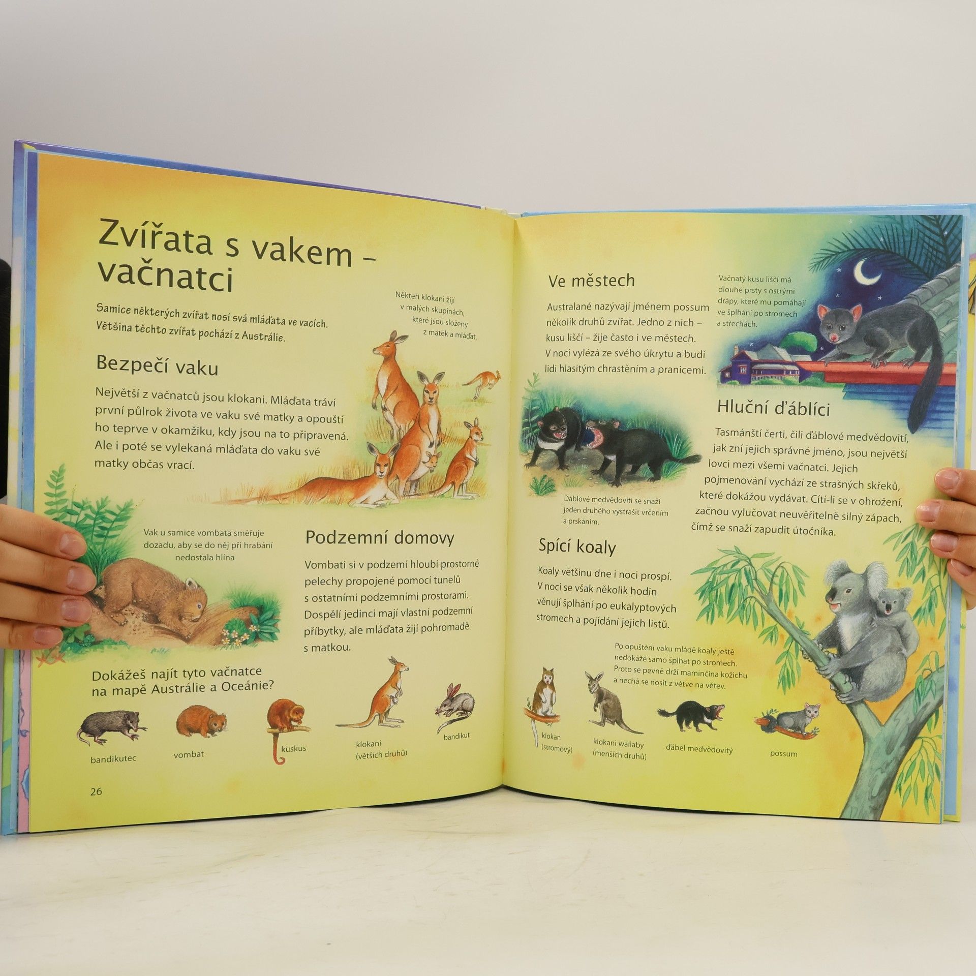 Various authors Dětský ilustrovaný atlas zvířat