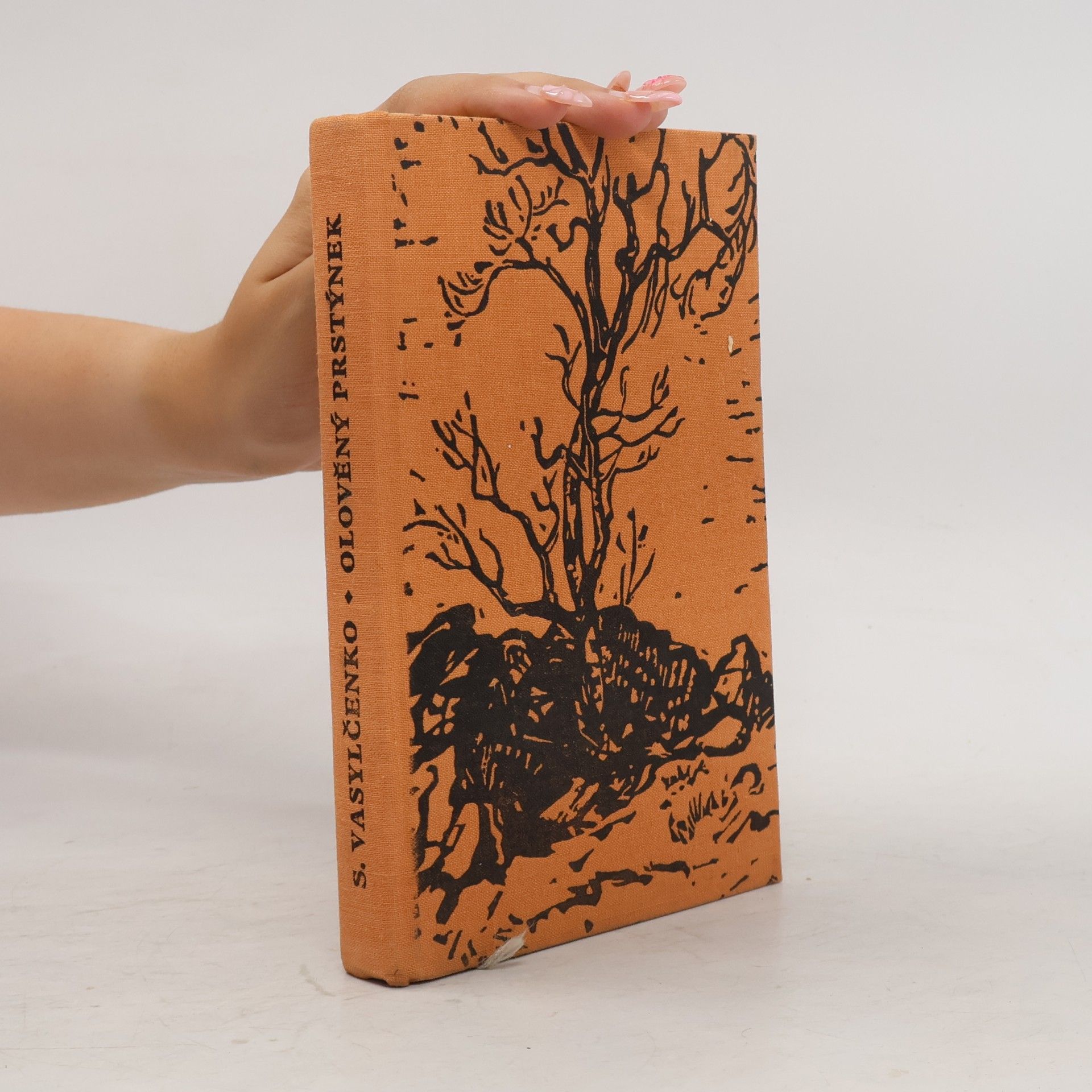 Stepan Vasylčenko Olověný prstýnek