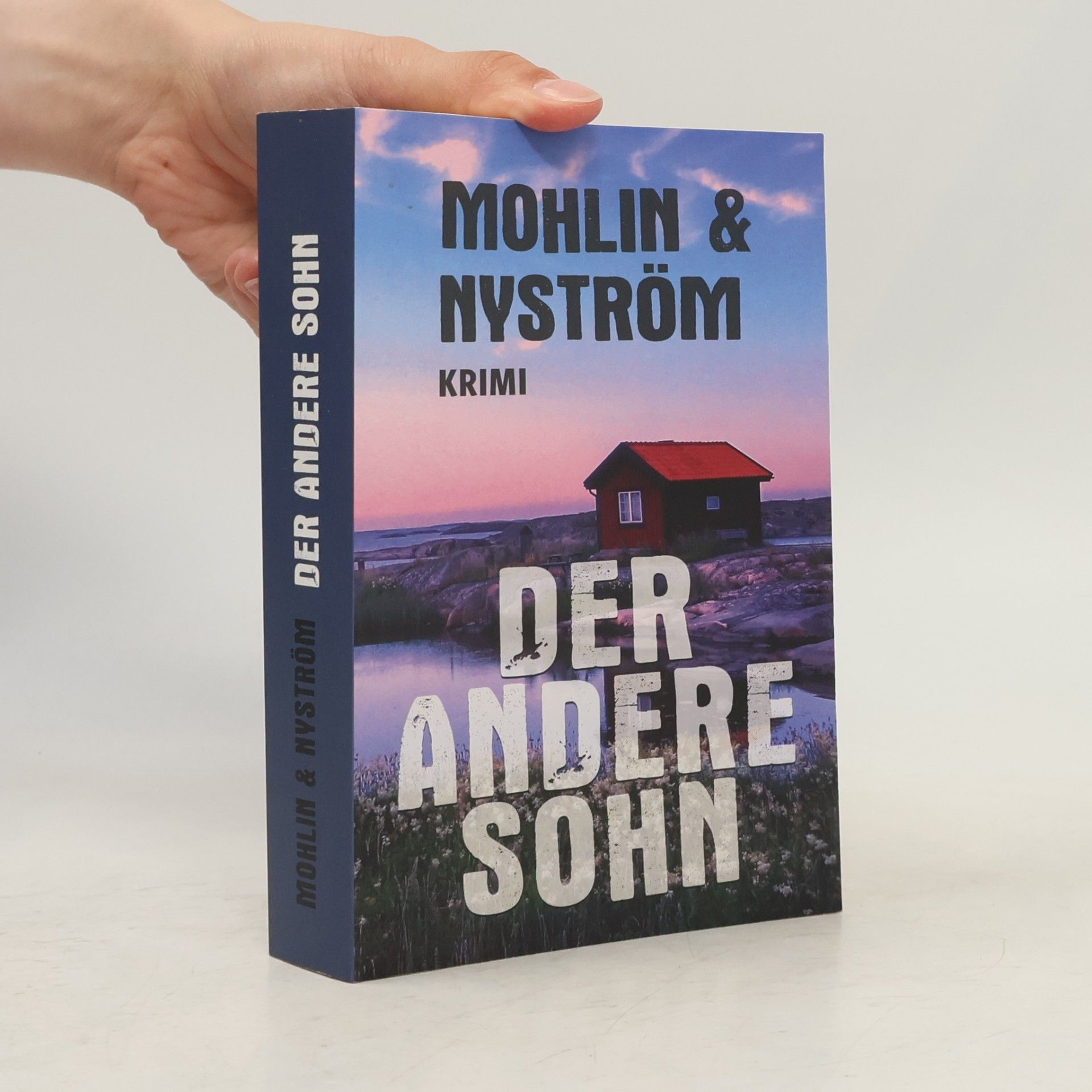 Peter Mohlin Der andere Sohn