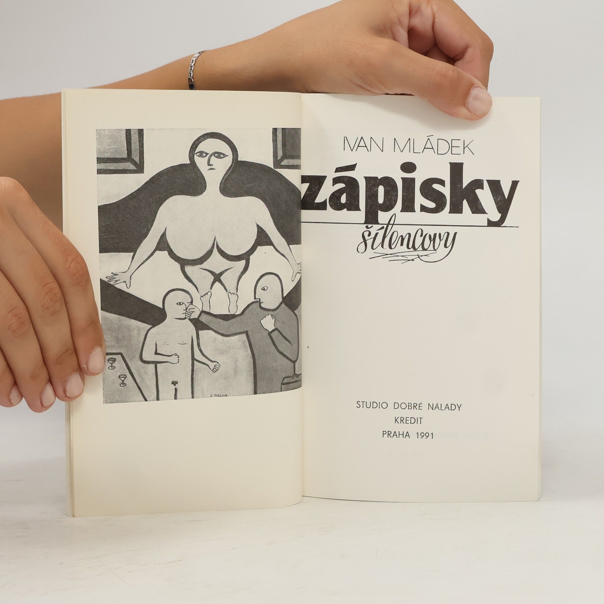 Ivan Mládek Zápisky šílencovy