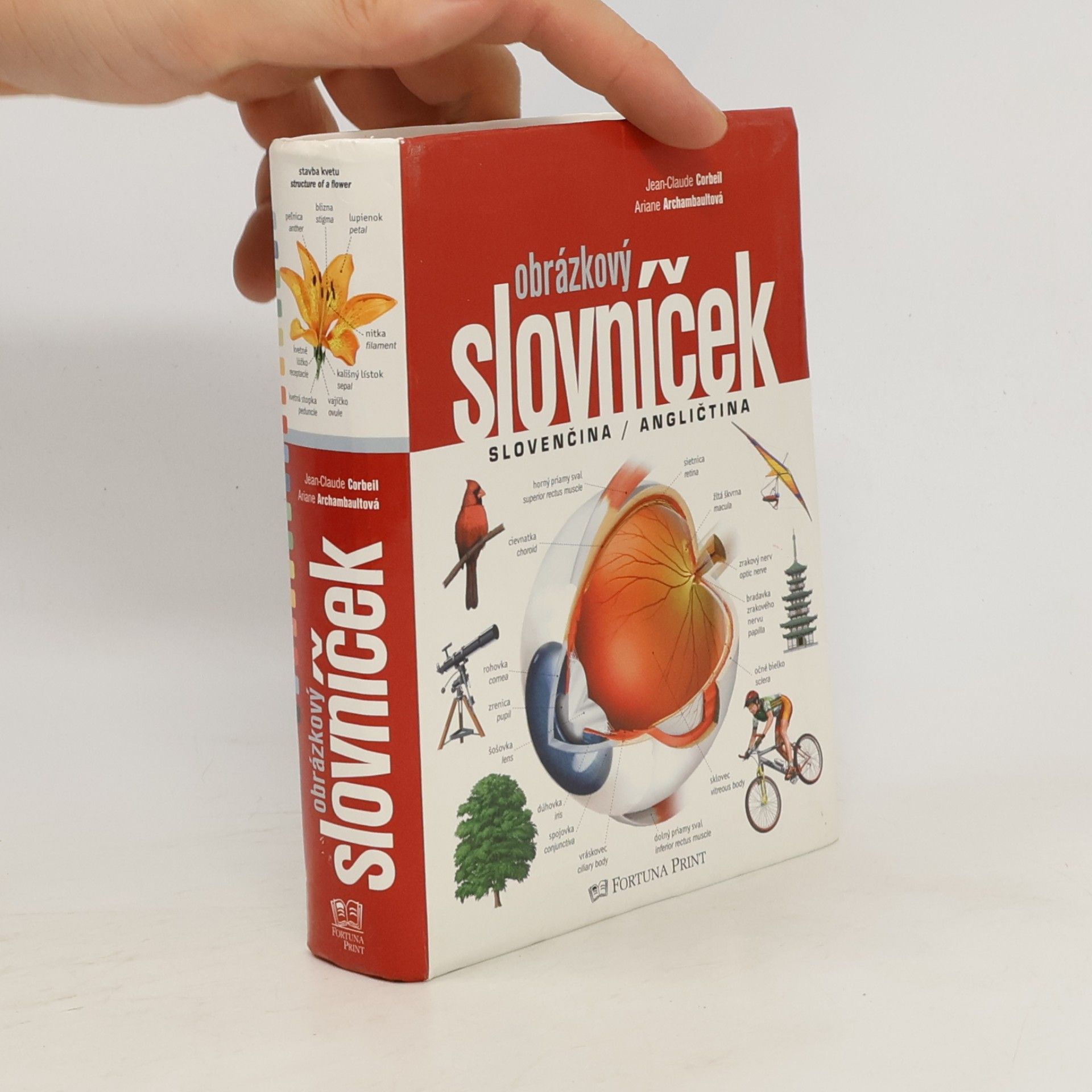 Ariane Archambault Obrázkový slovníček, Slovenčina / Angličtina