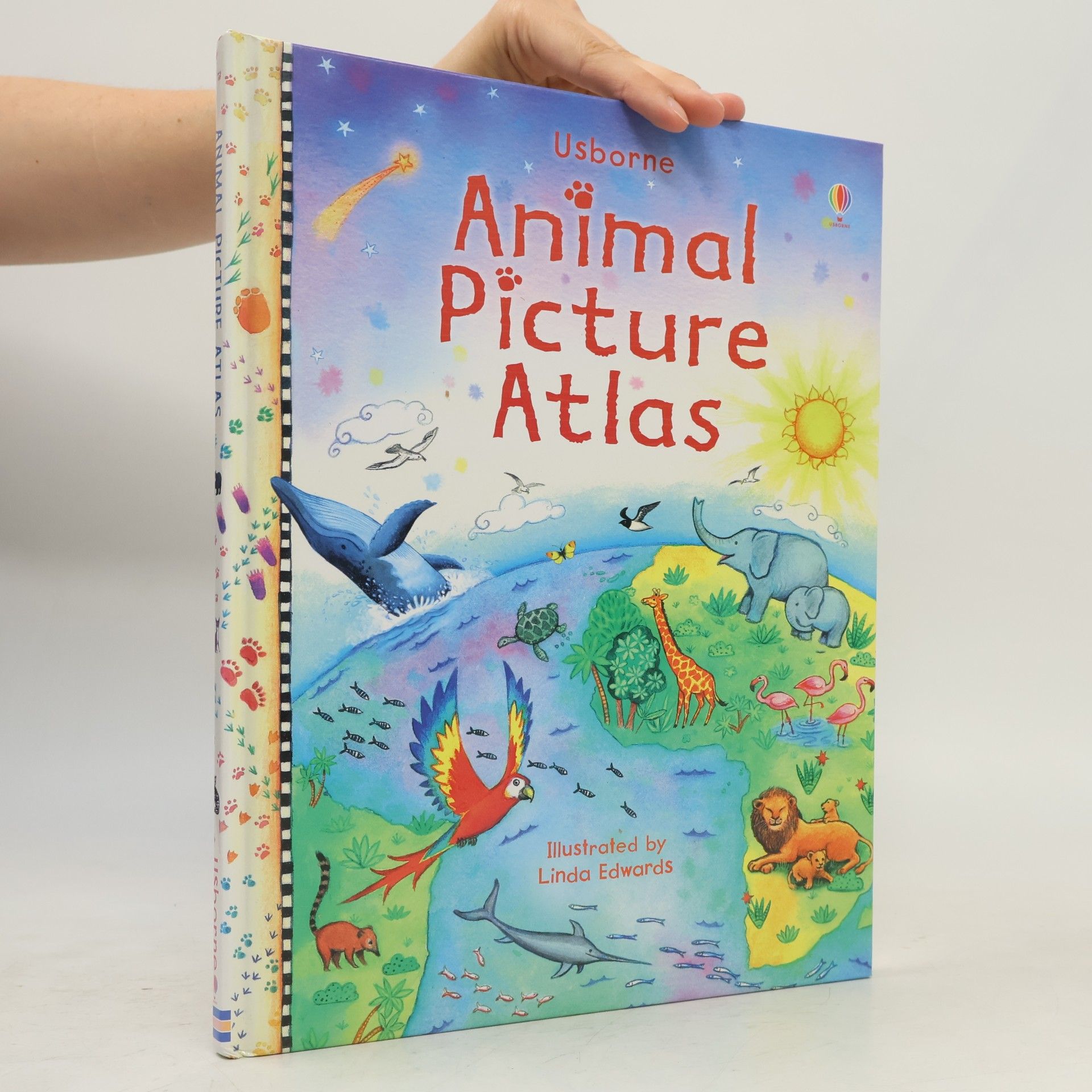 Hazel Maskell Animal Picture Atlas