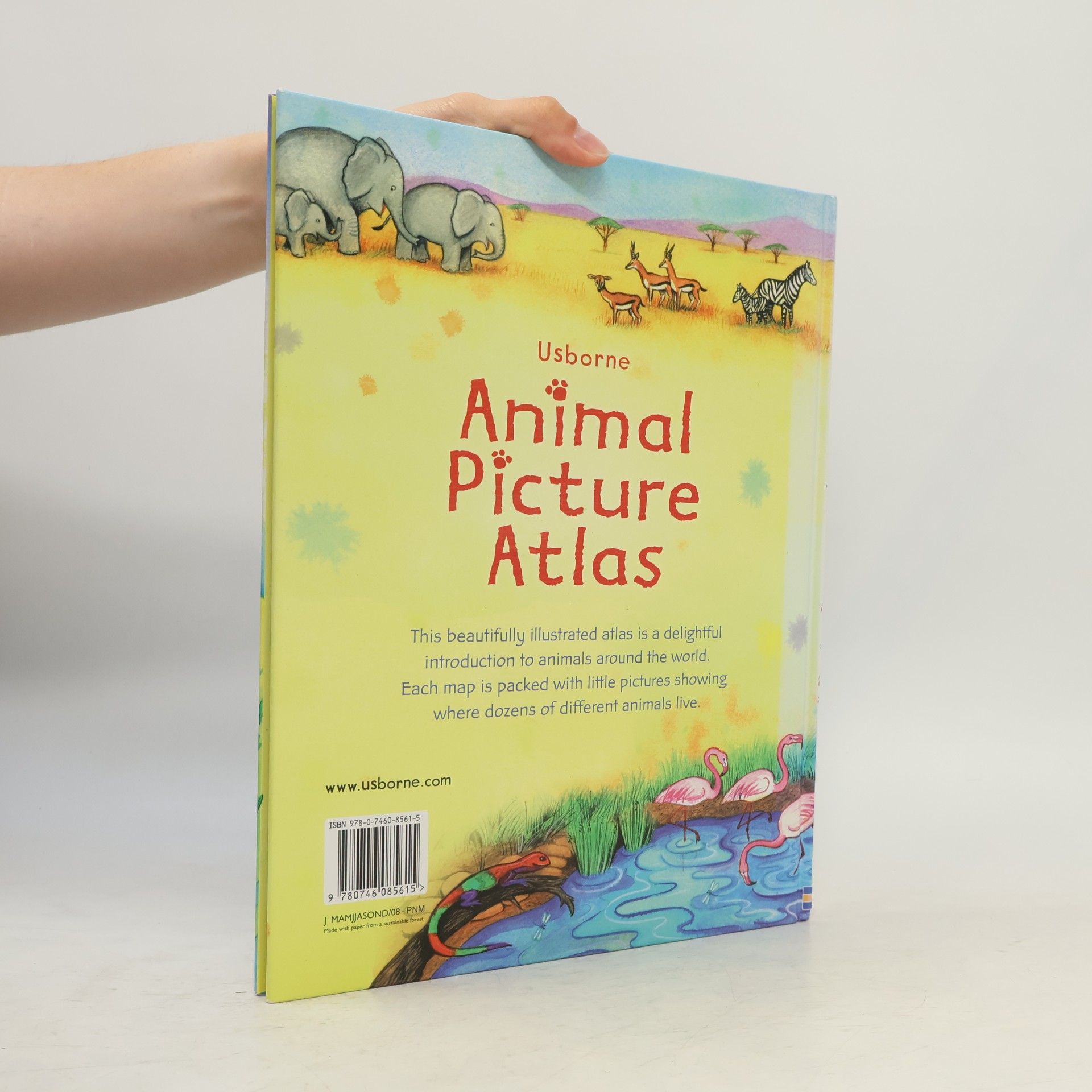 Linda Edwards Animal Picture Atlas