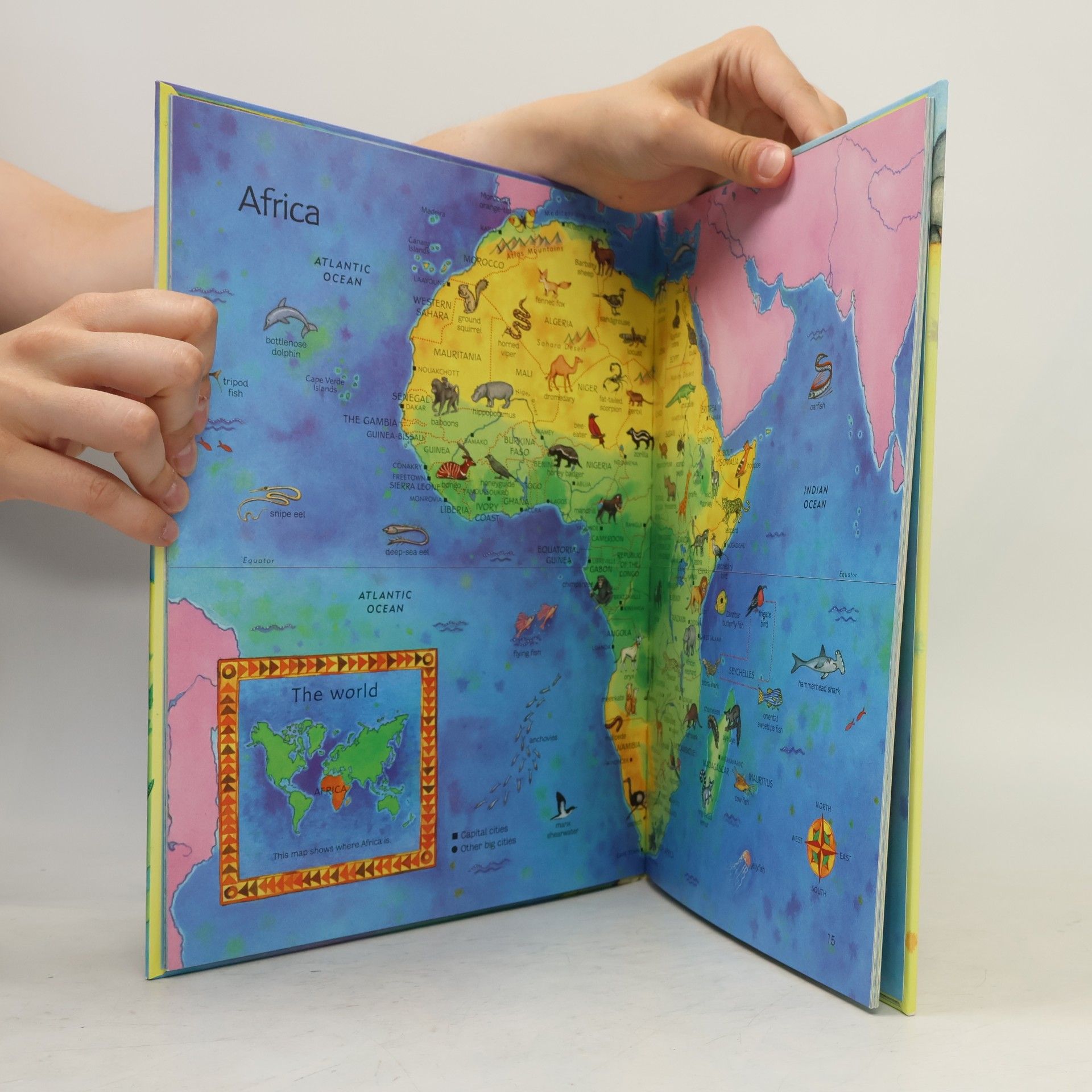Linda Edwards Animal Picture Atlas