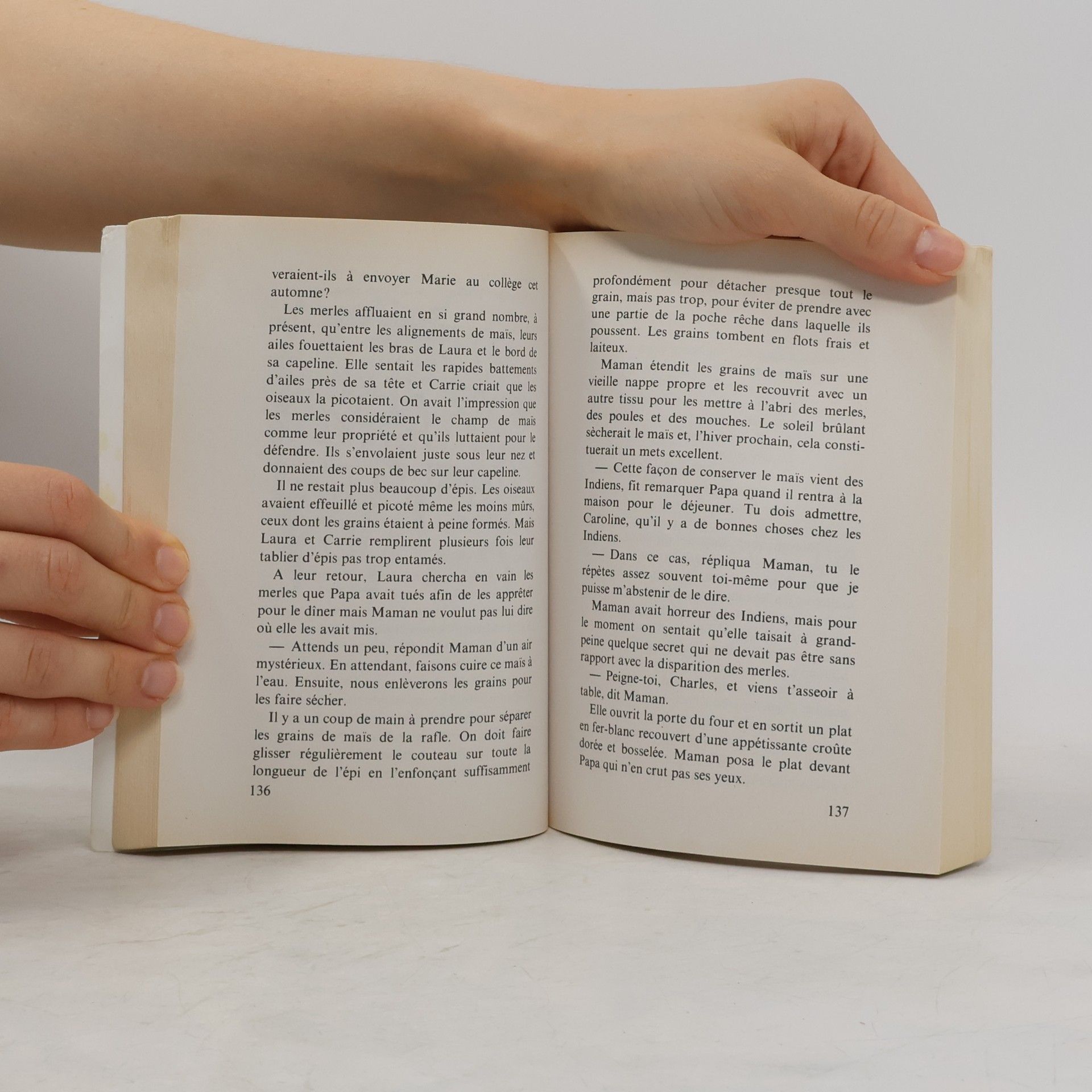 Laura Ingalls Wilder La petite maison dans la prairie - 6: La petite ville dans la prairie