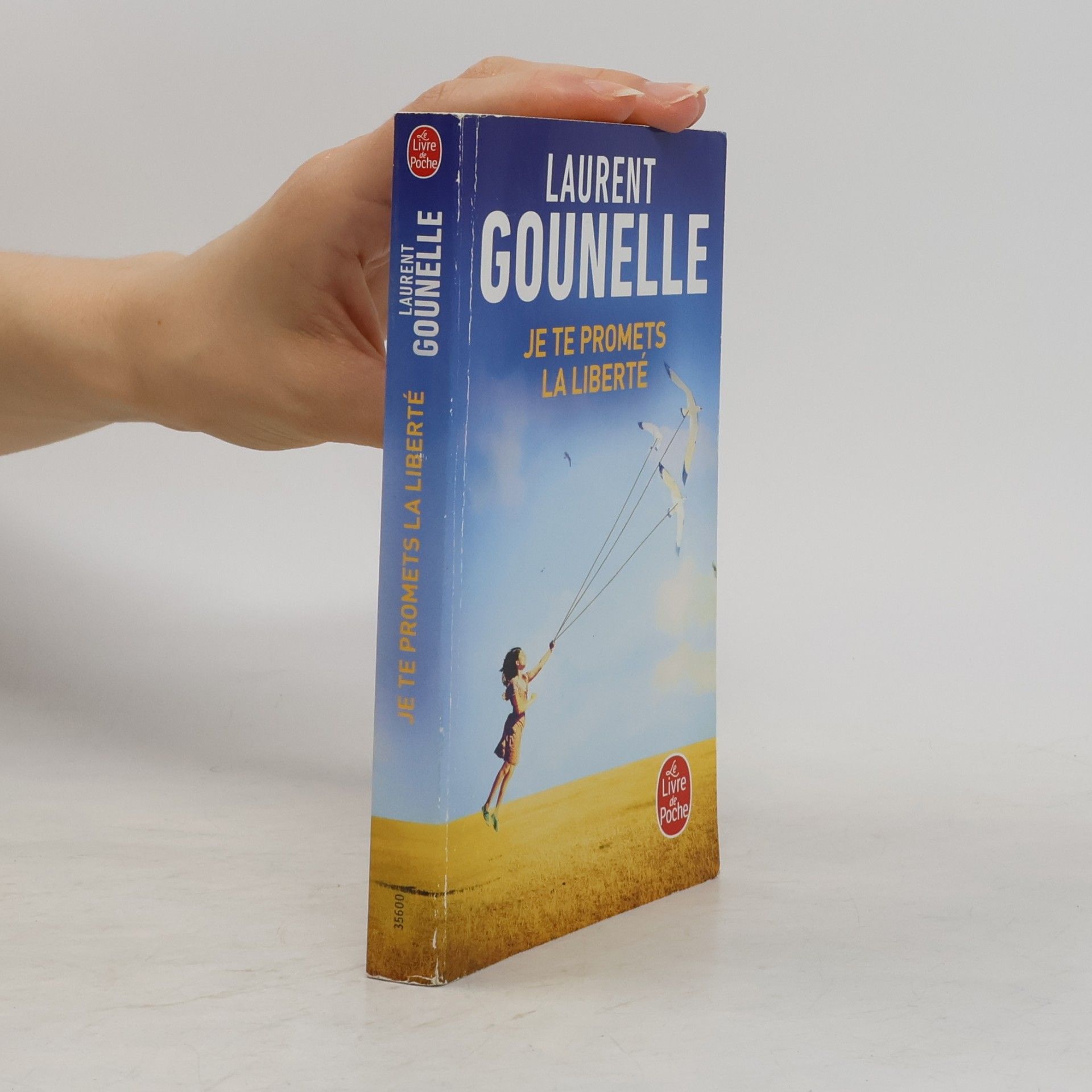 Laurent Gounelle Je te promets la liberté