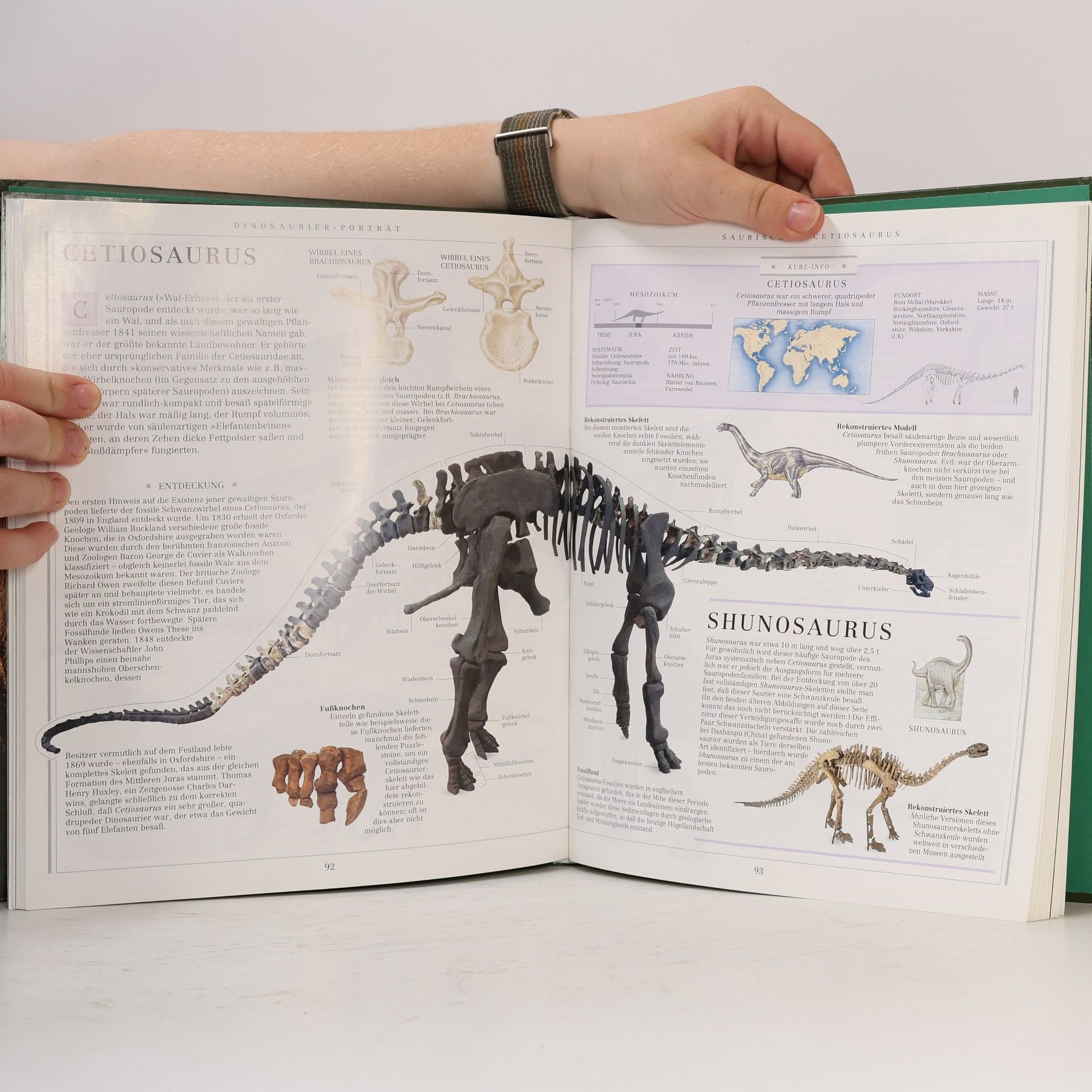 David Lambert Dinosaurier