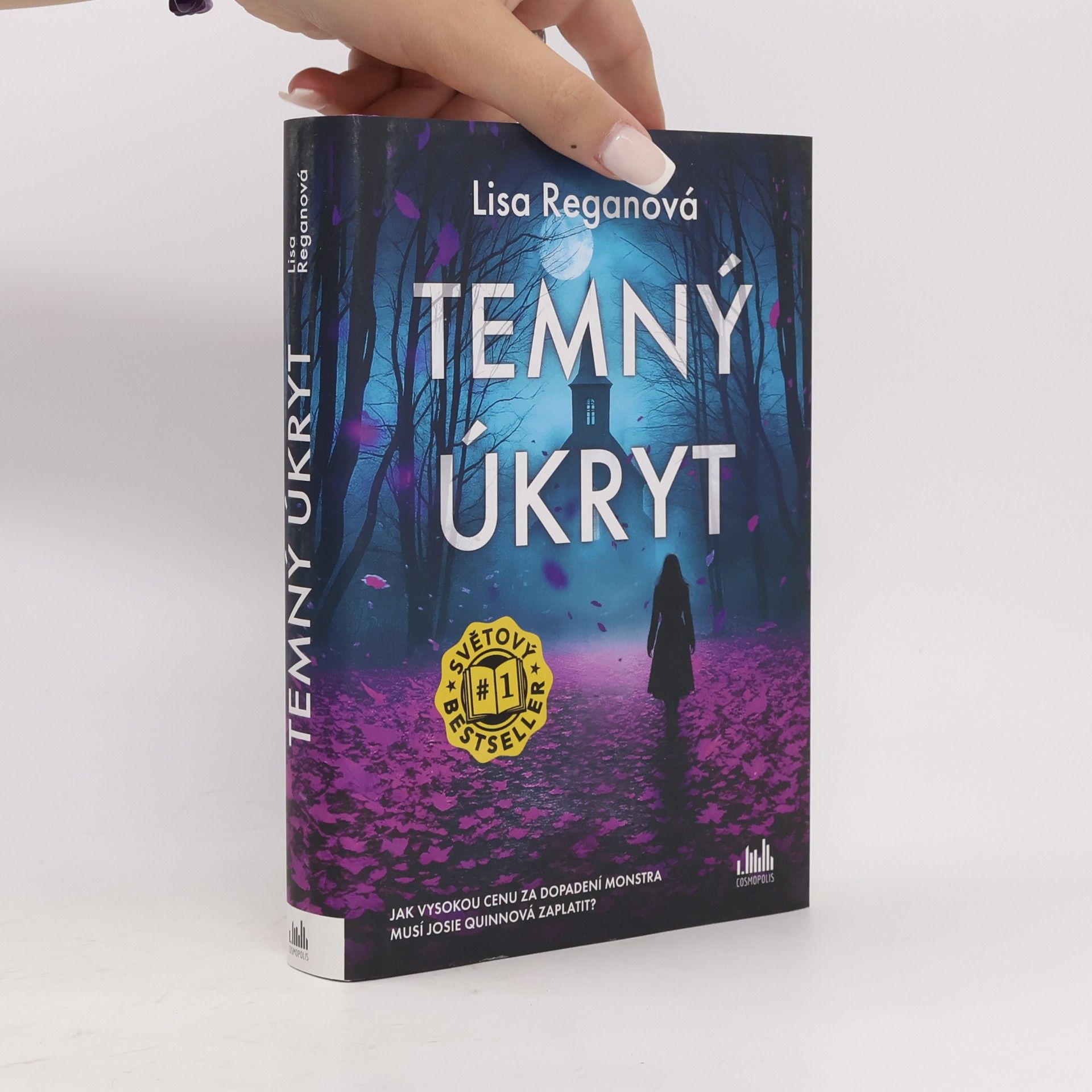 Lisa Regan Temný úkryt