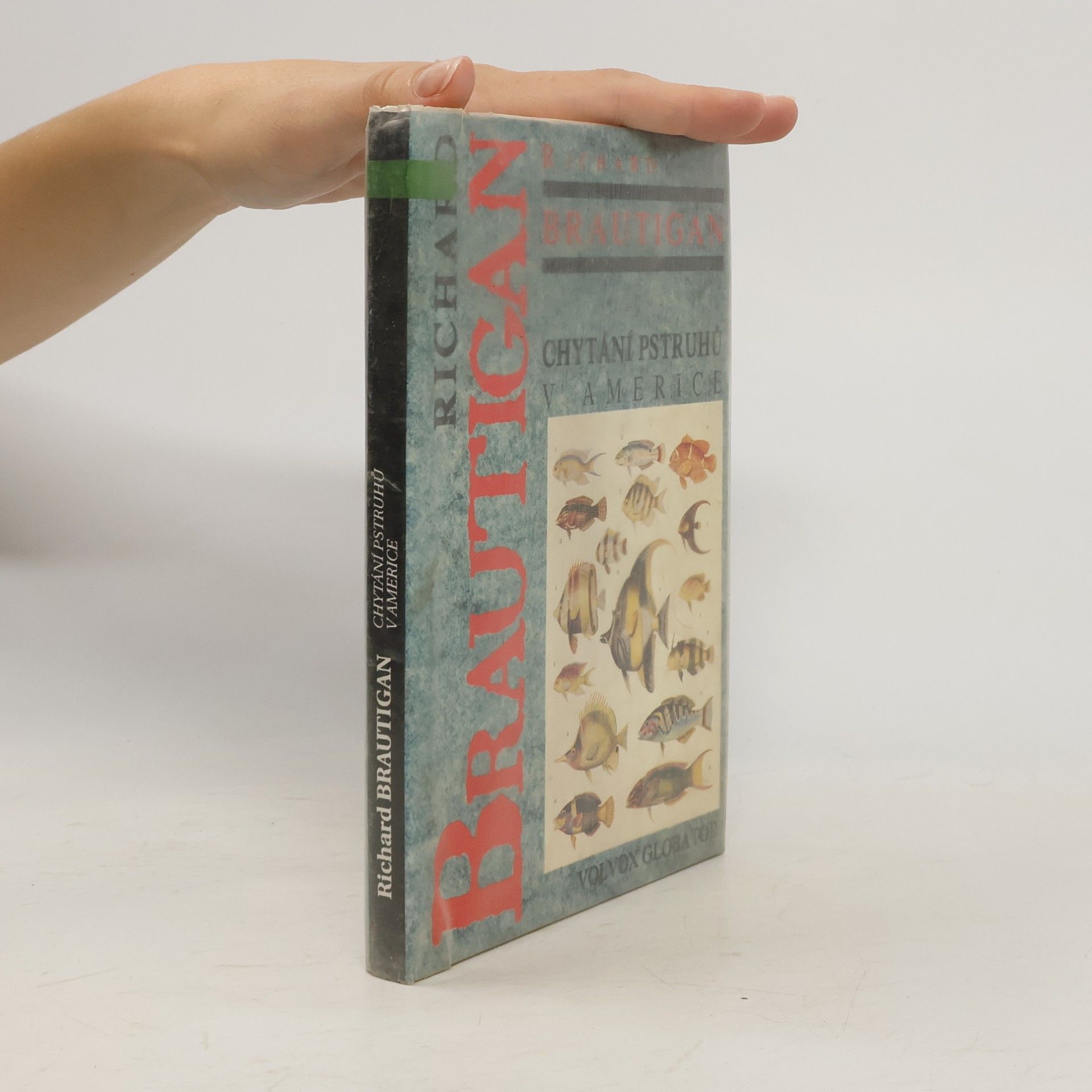Richard Brautigan Chytání pstruhů v Americe