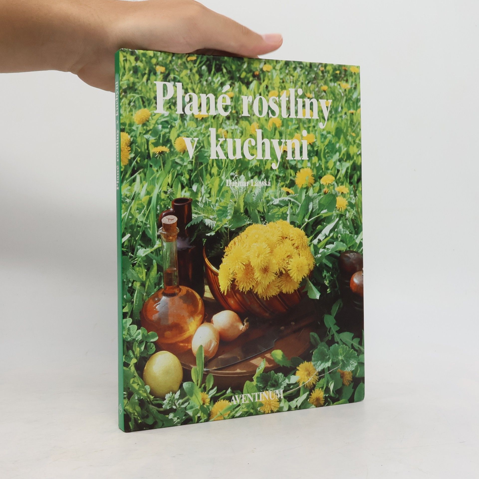 Dagmar Lánská Plané rostliny v kuchyni