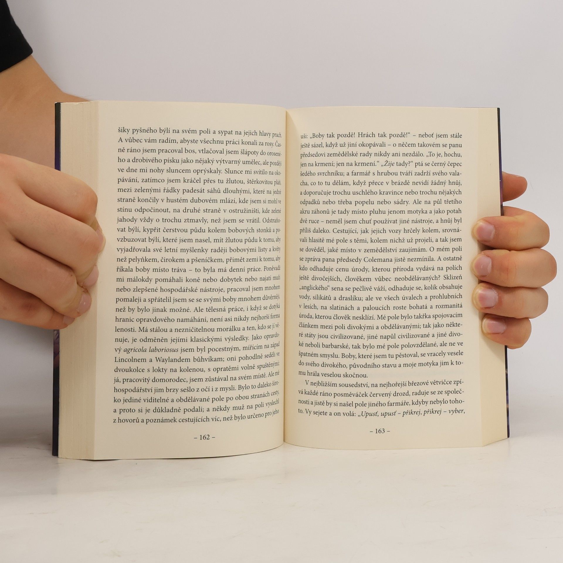 Henry David Thoreau Walden aneb Život v lesích
