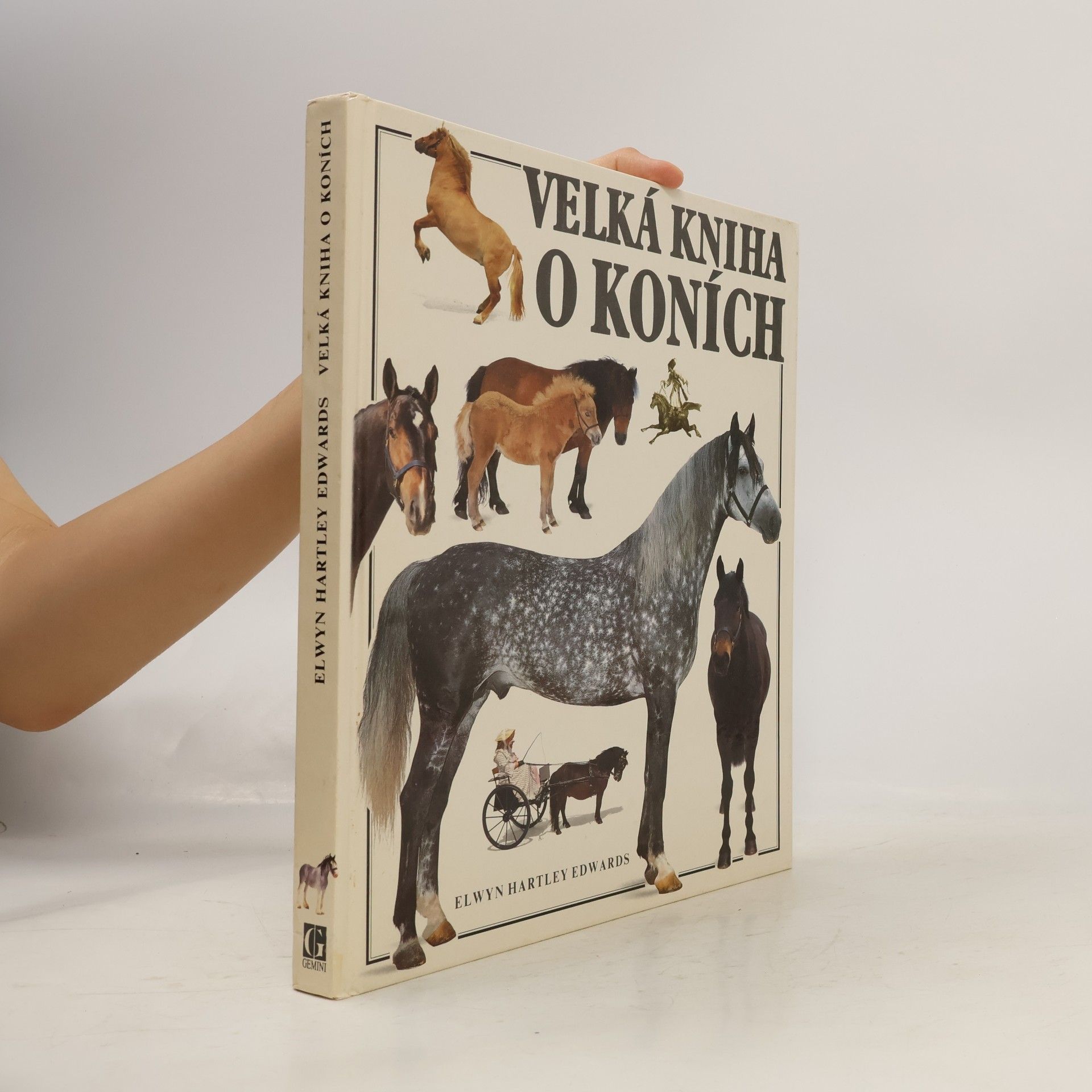 Velká kniha o koních