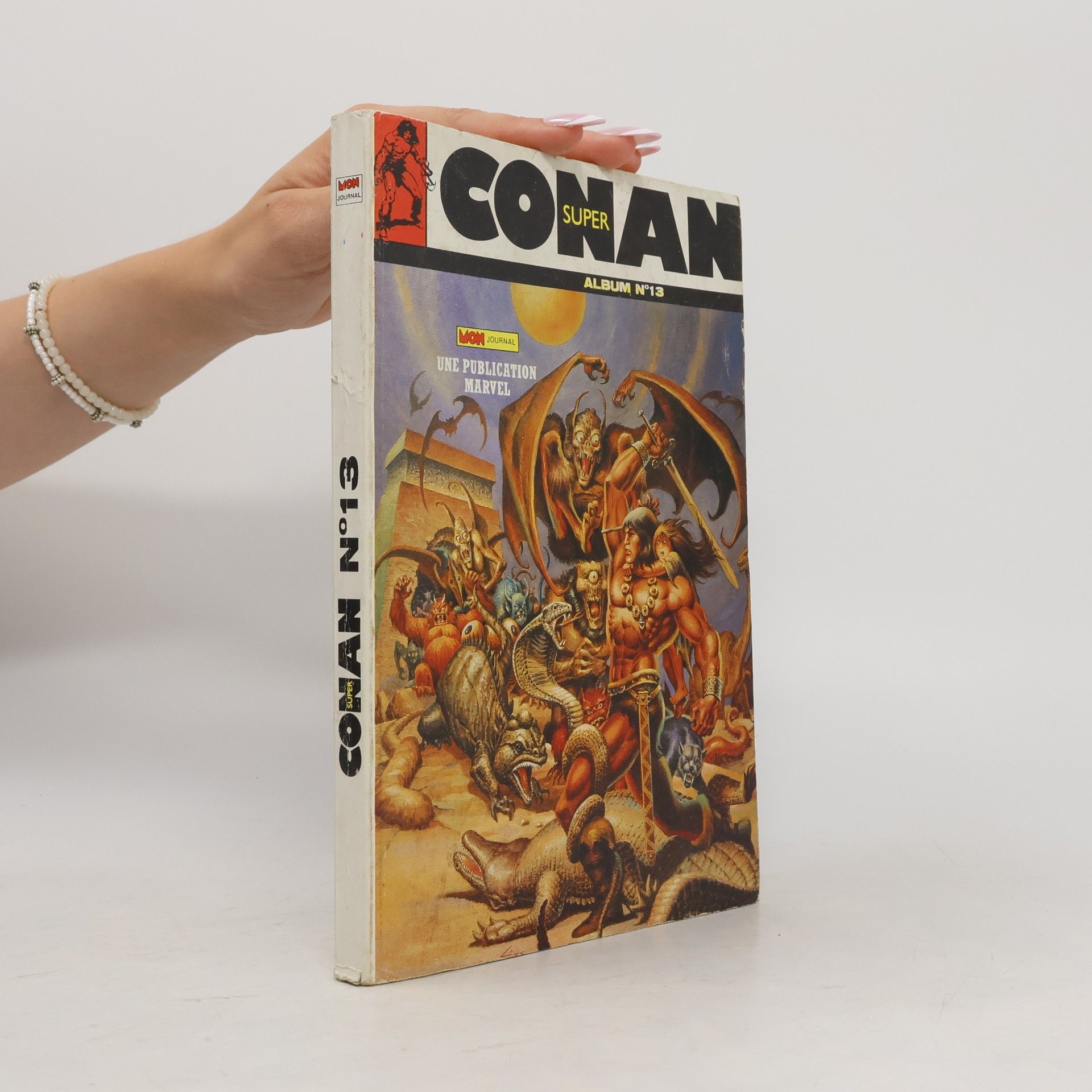 Kolektiv autorů Super Conan 13