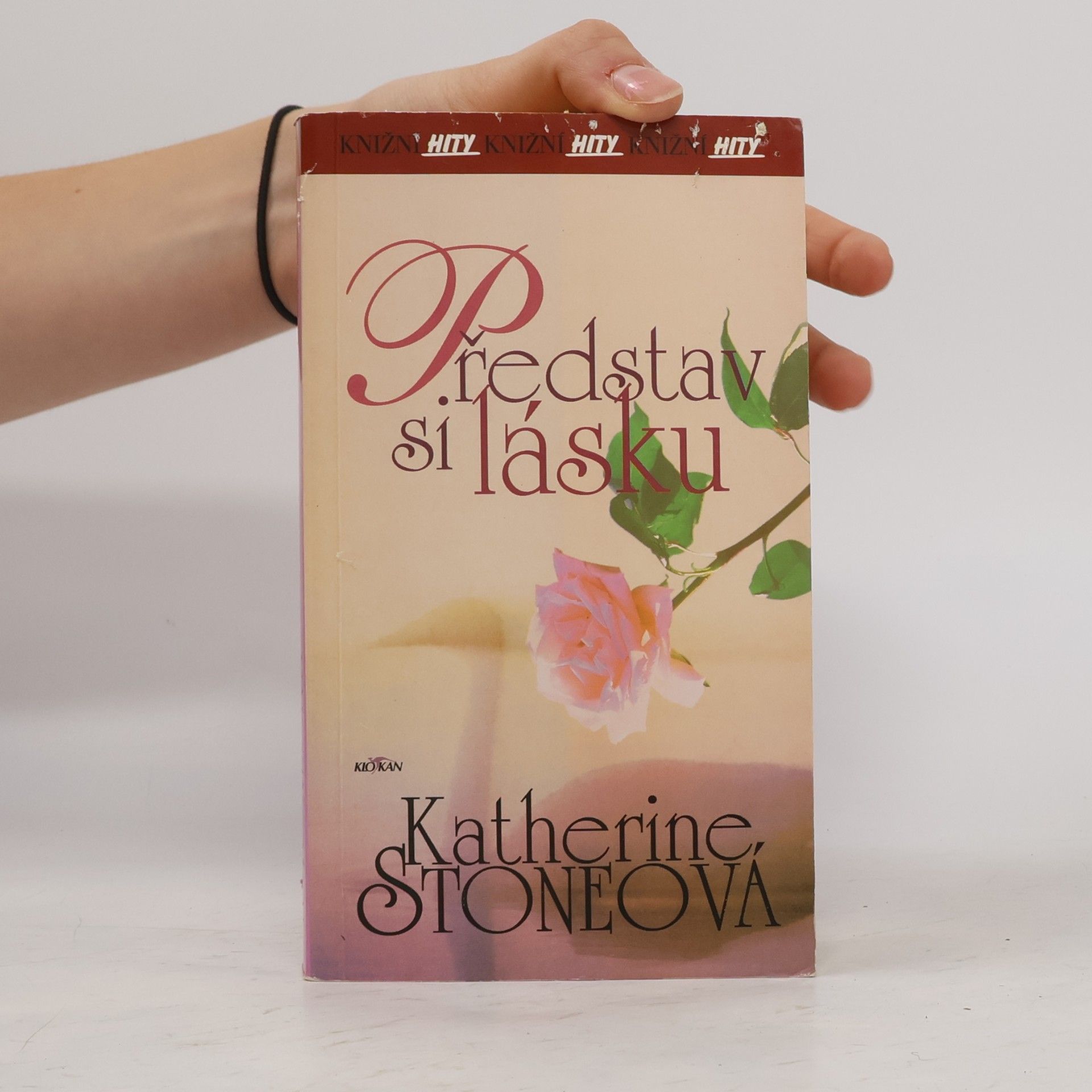 Katherine Stone Představ si lásku