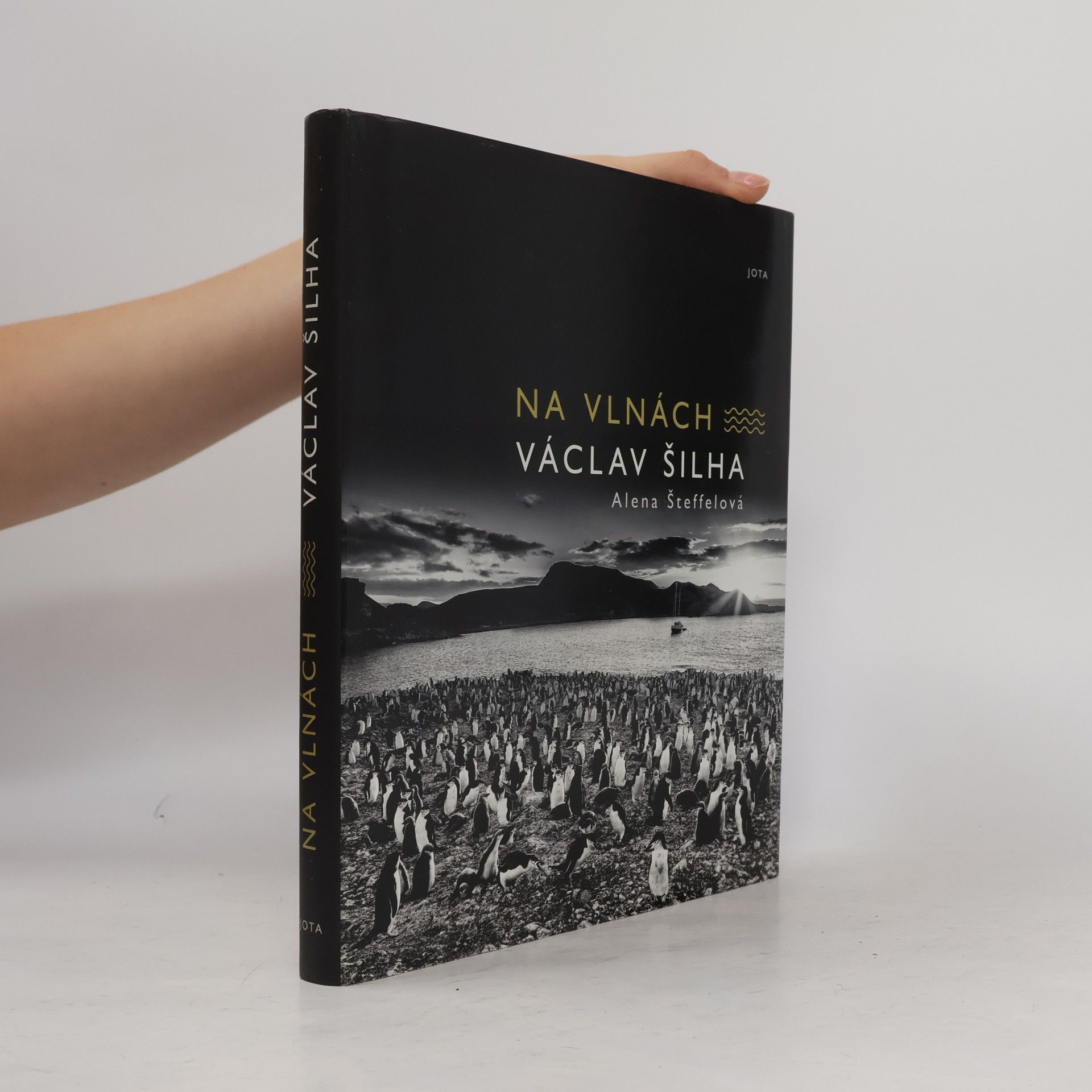 Alena Šteffelová Na vlnách