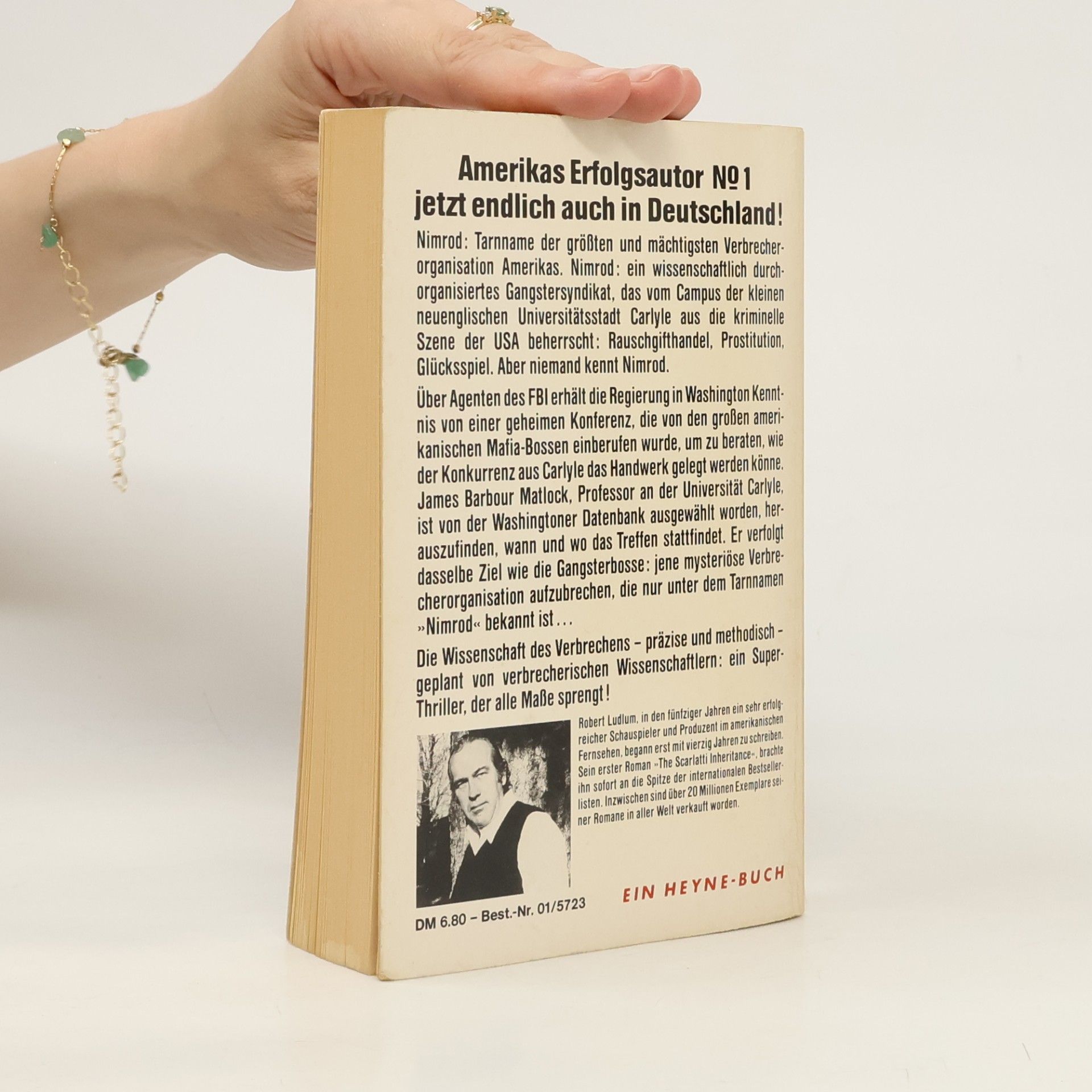 Robert Ludlum Die Matlock-Affäre