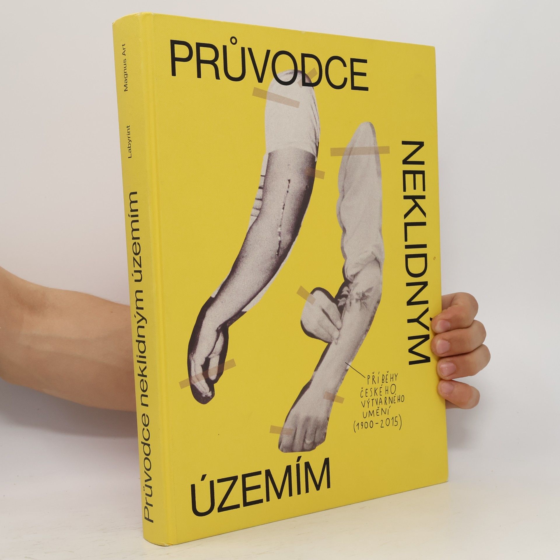 Ondřej Horák Průvodce neklidným územím. Příběhy českého výtvarného umění (1900-2015)